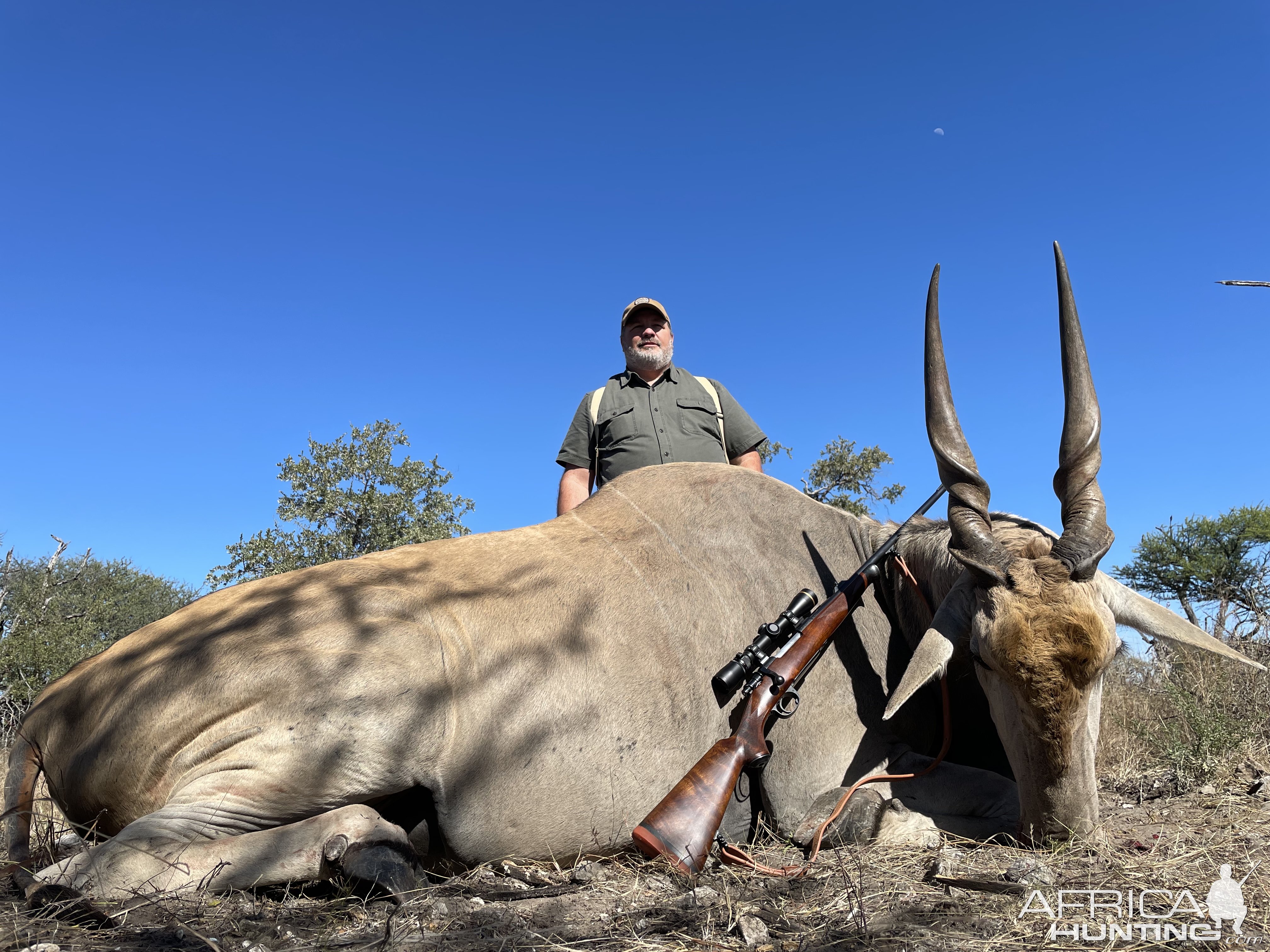 Eland Hunt Botswana