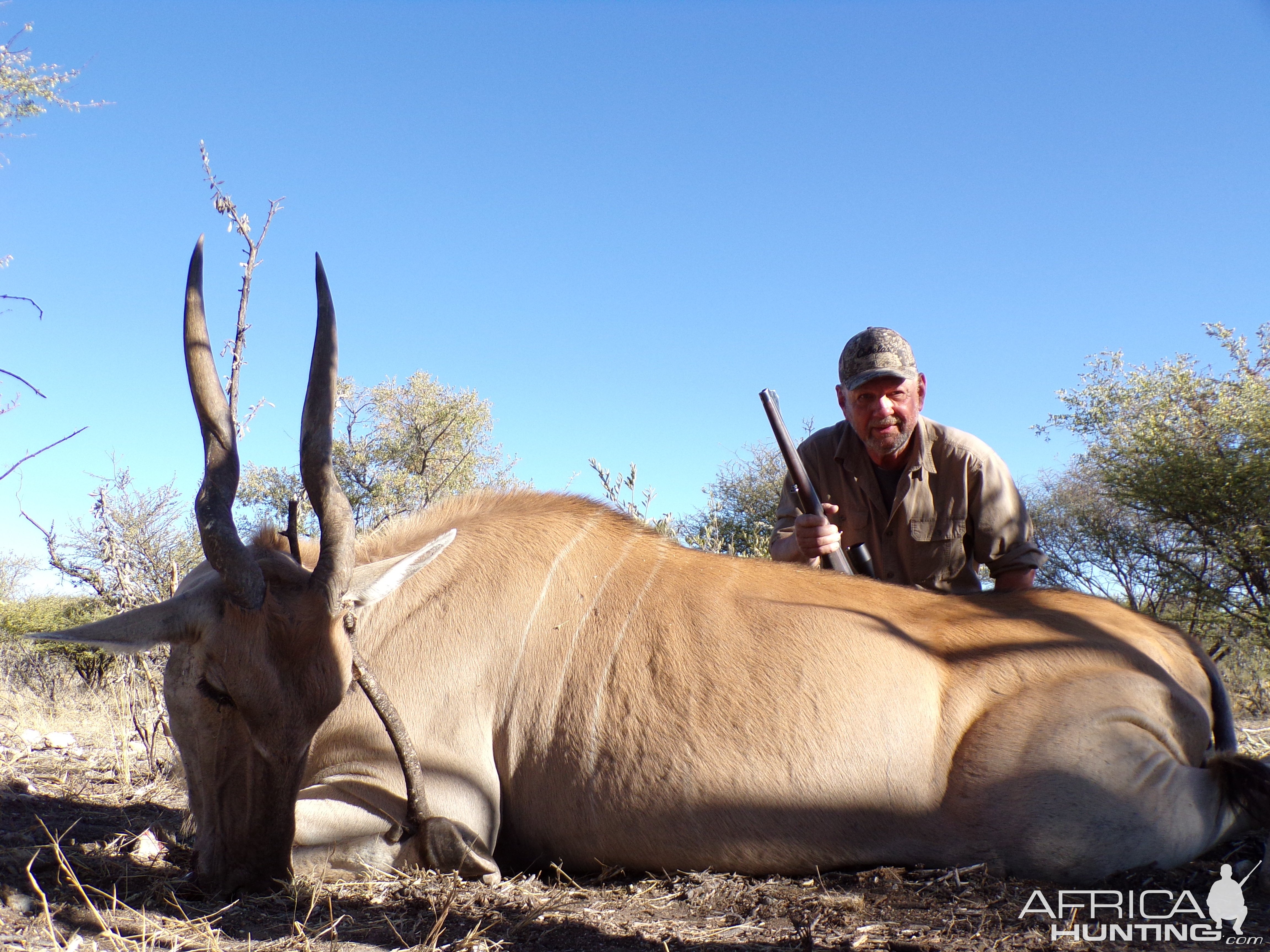 Eland Hunt Botswana