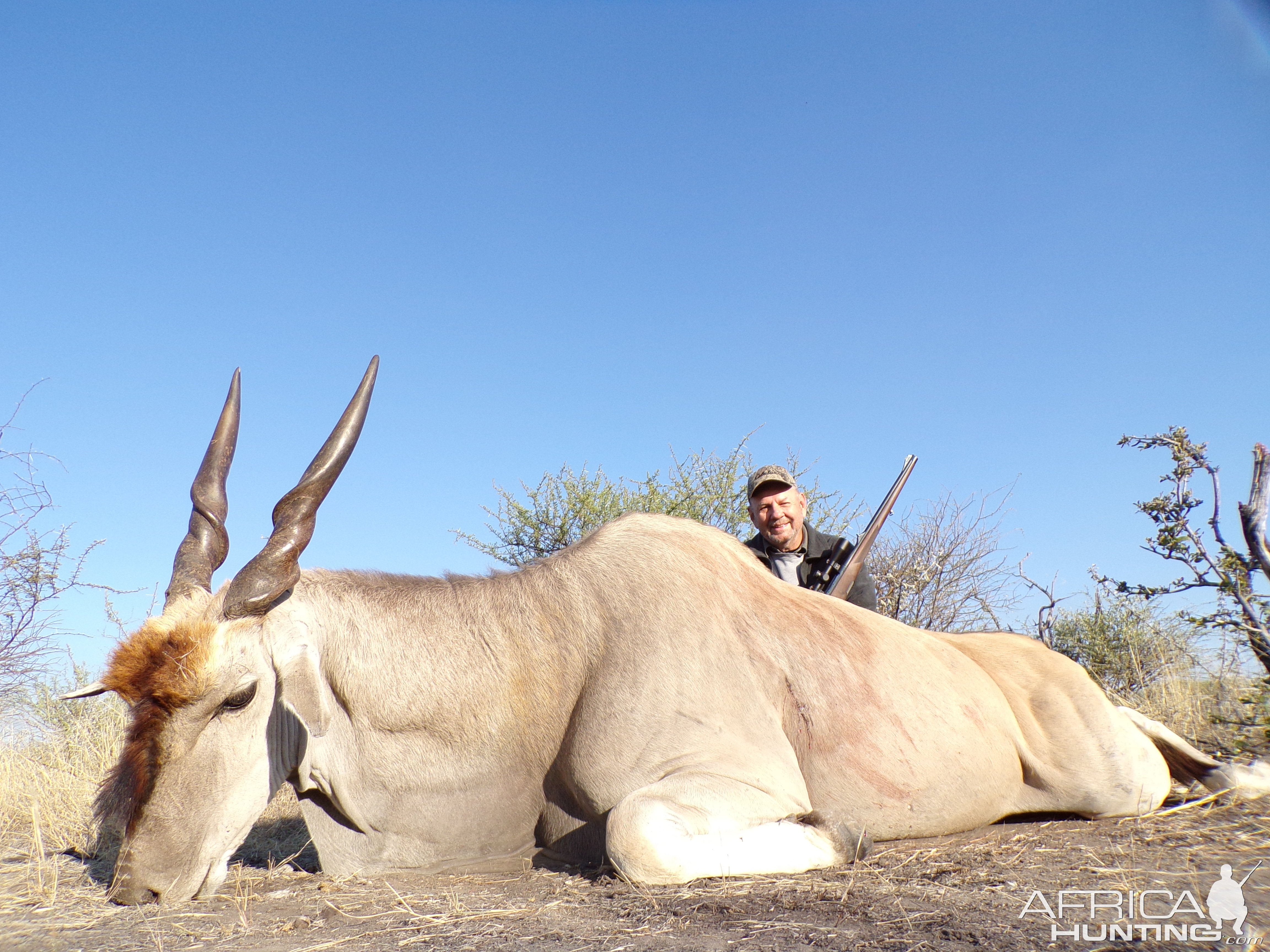 Eland Hunt Botswana