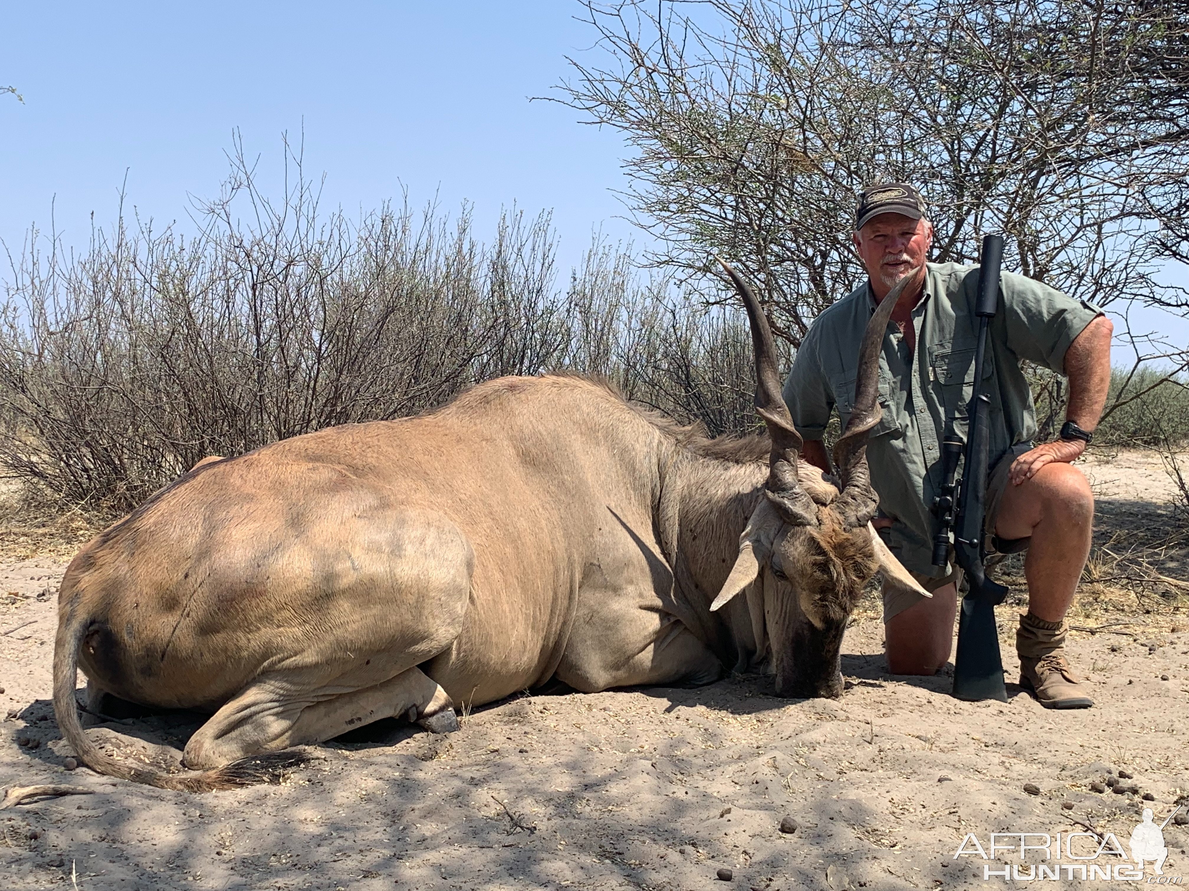 Eland Hunt Botswana