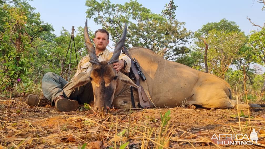 Eland Hunt Brachystegia Forest North-Western Zambia