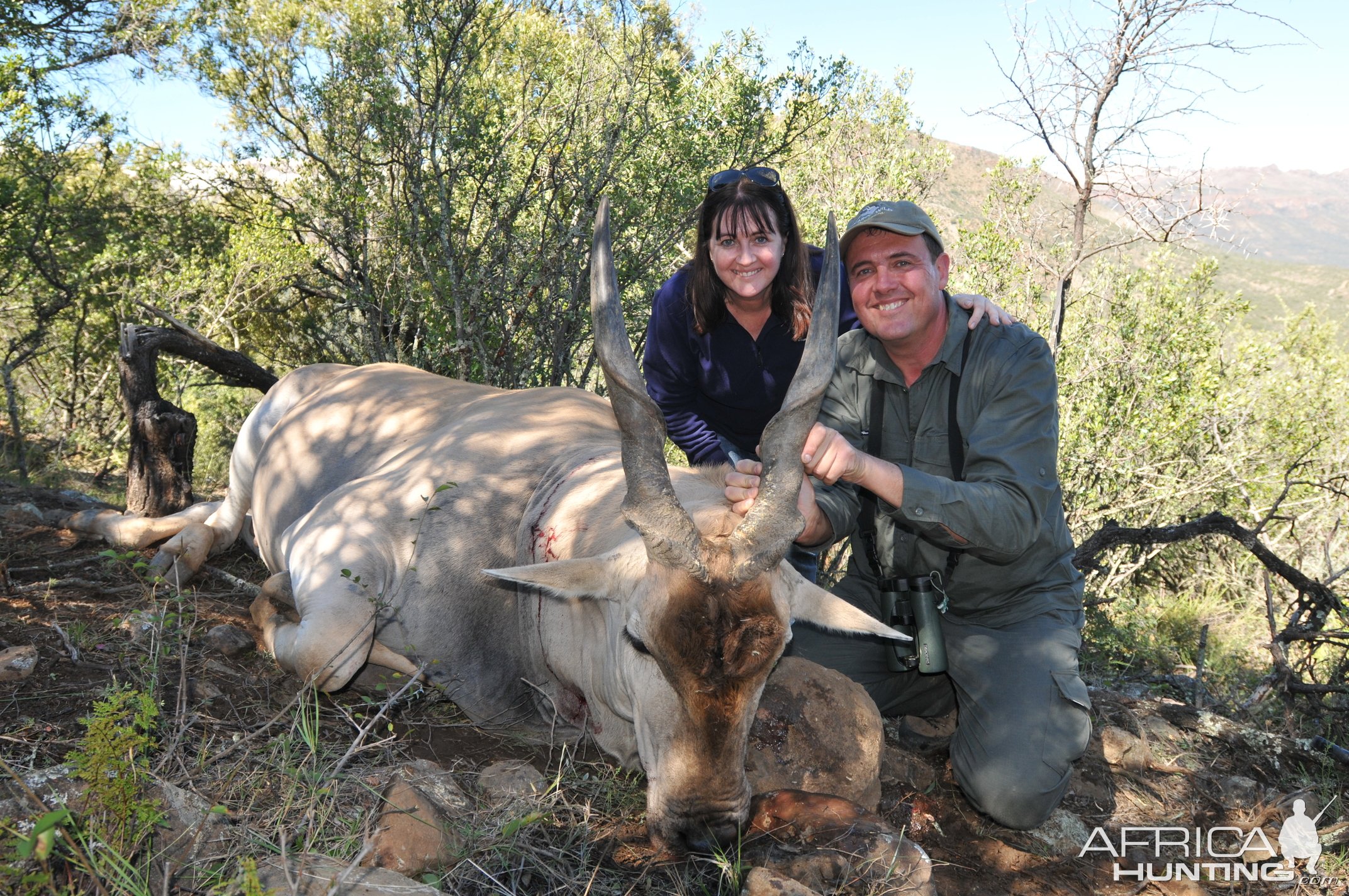 Eland Hunt Eastern Cape South Africa