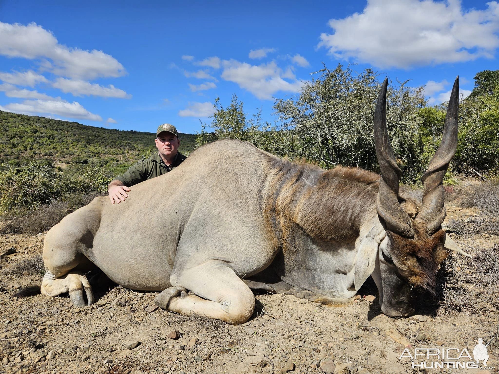 Eland Hunt Eastern Cape South Africa