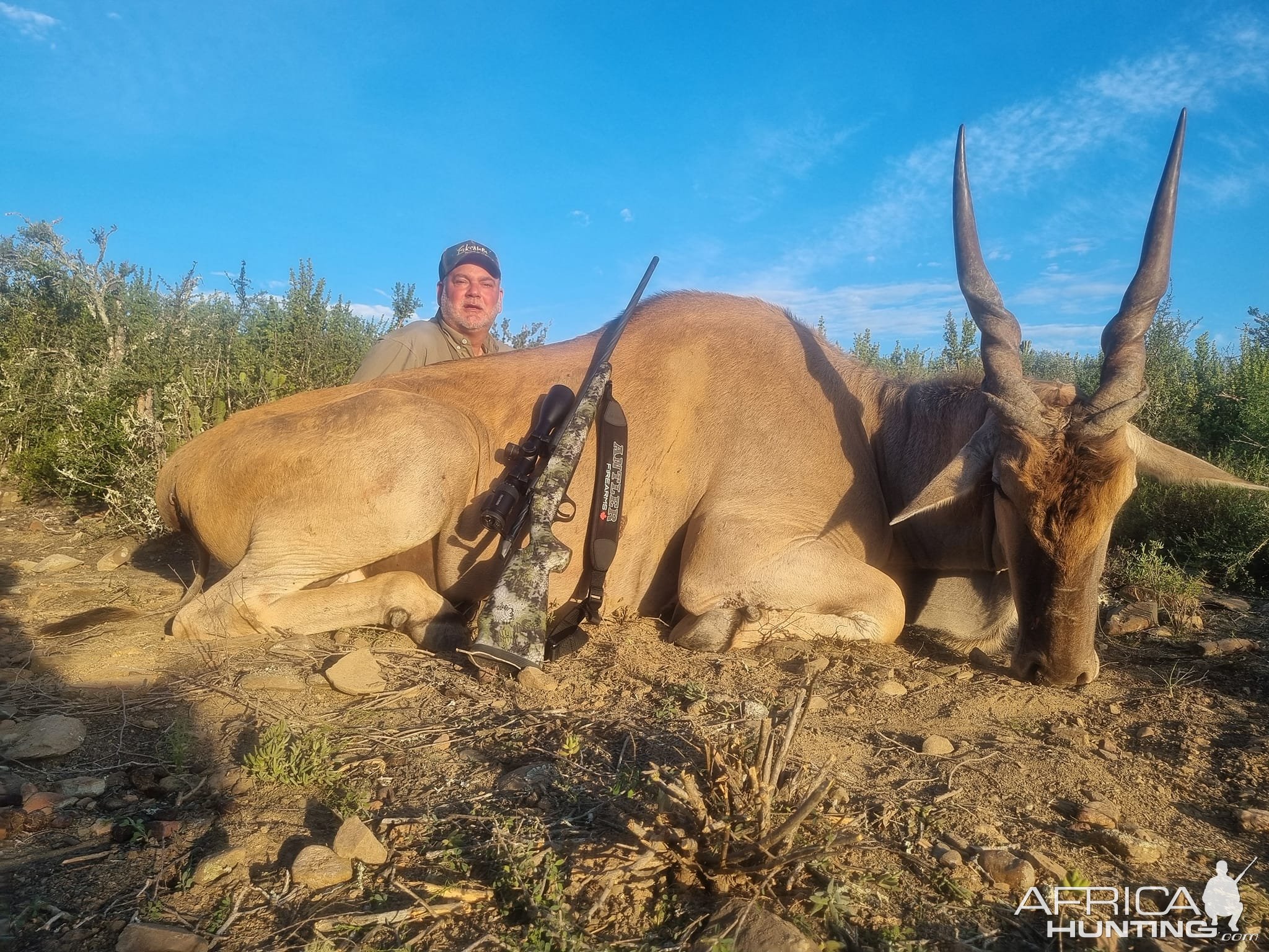 Eland Hunt Eastern Cape South Africa