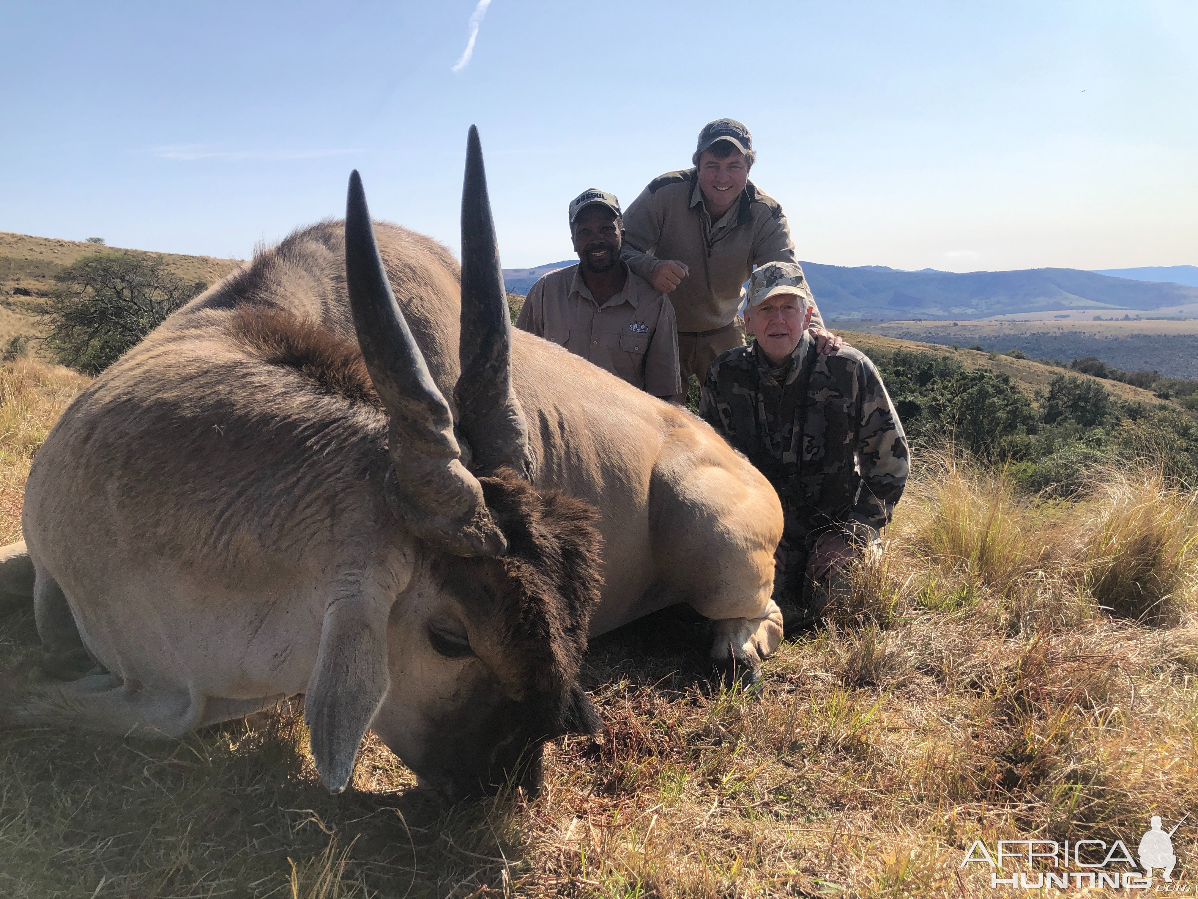 Eland Hunt Eastern Cape South Africa