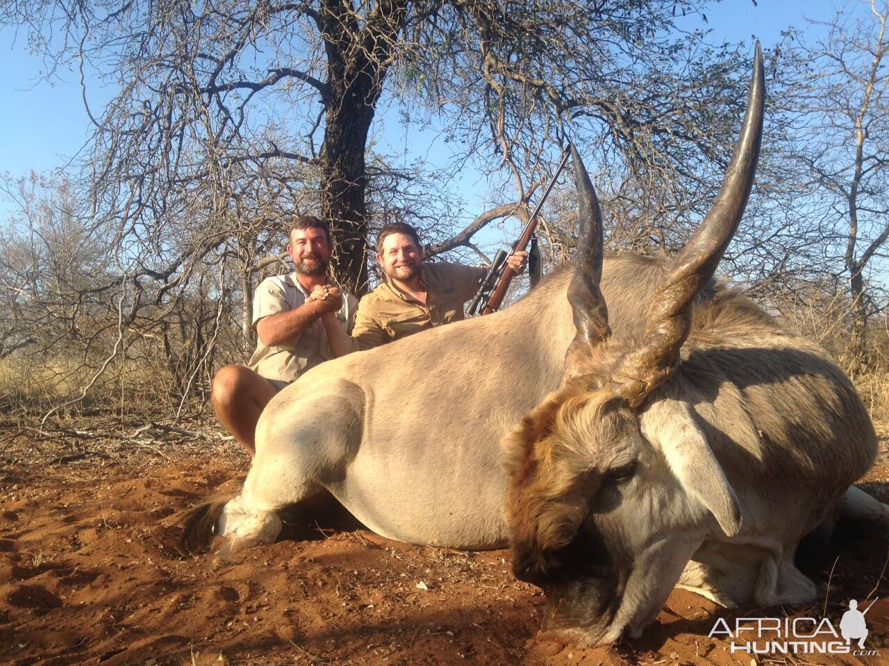 Eland Hunt in South Africa