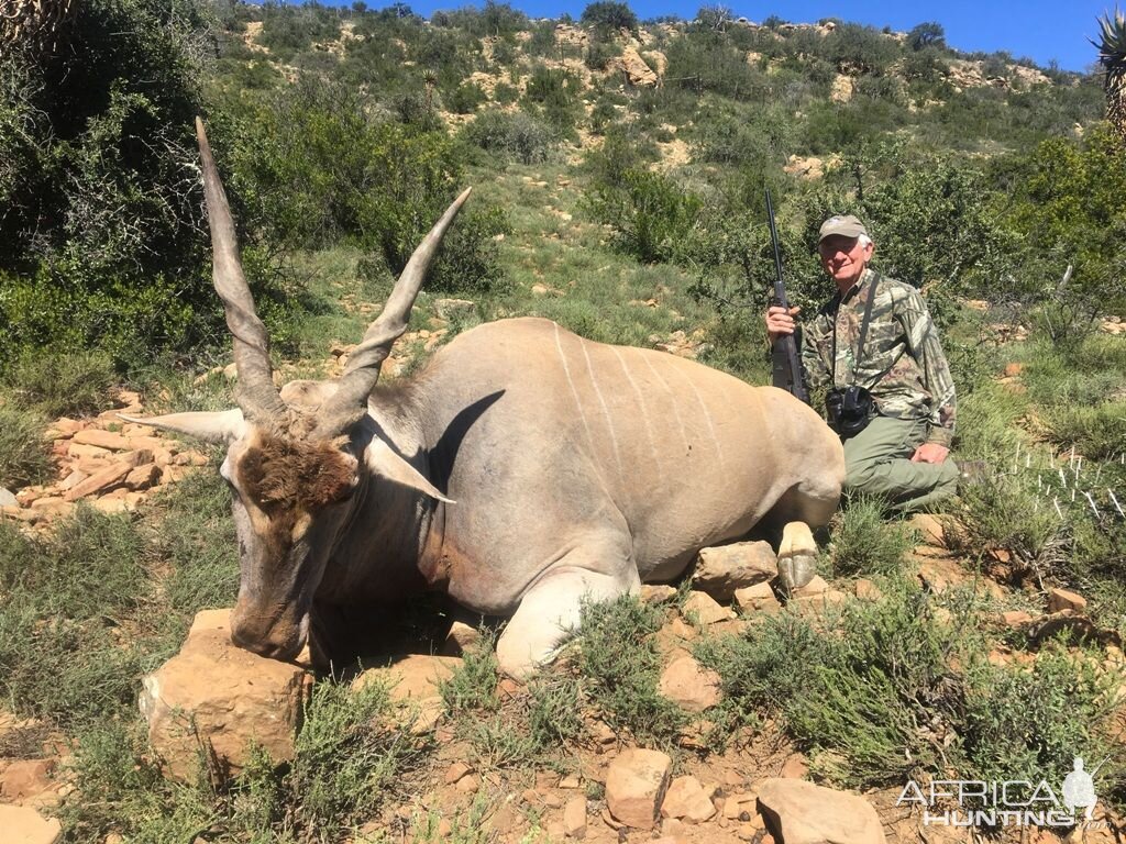 Eland Hunt in South Africa