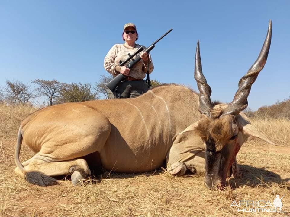 Eland Hunt Limpopo South Africa