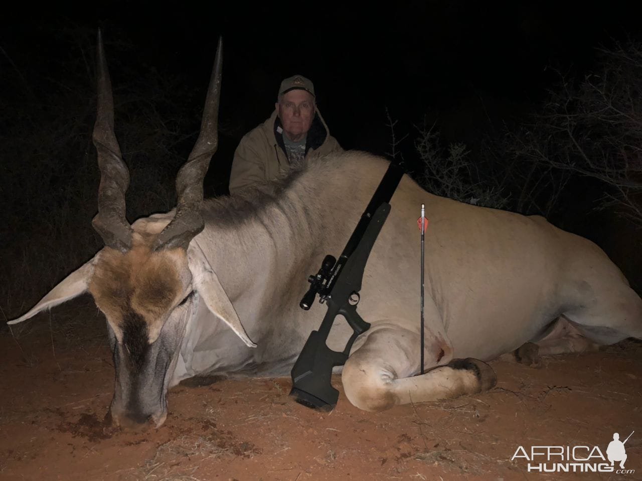 Eland Hunt Limpopo South Africa