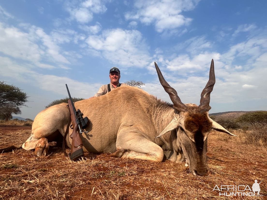 Eland Hunt Limpopo South Africa