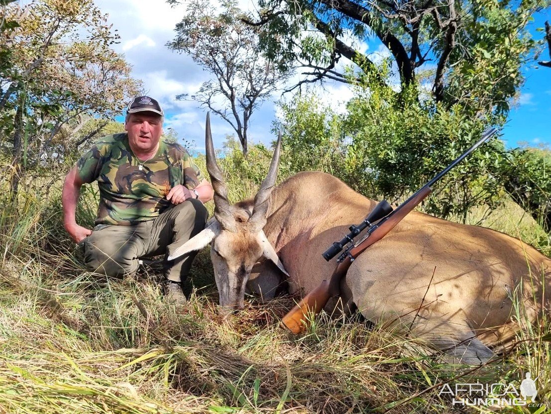 Eland Hunt Limpopo South Africa