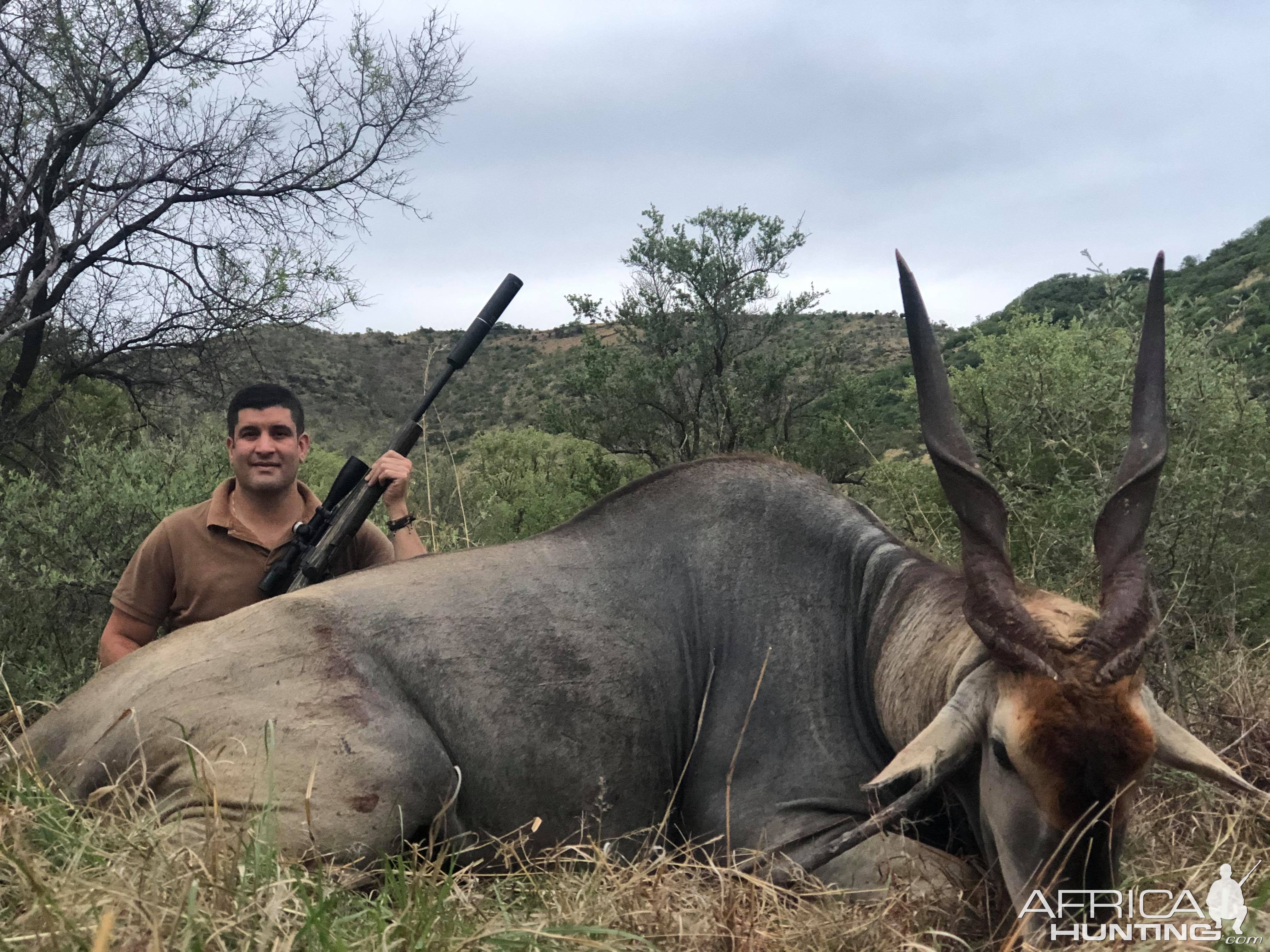 Eland Hunt Limpopo South Africa