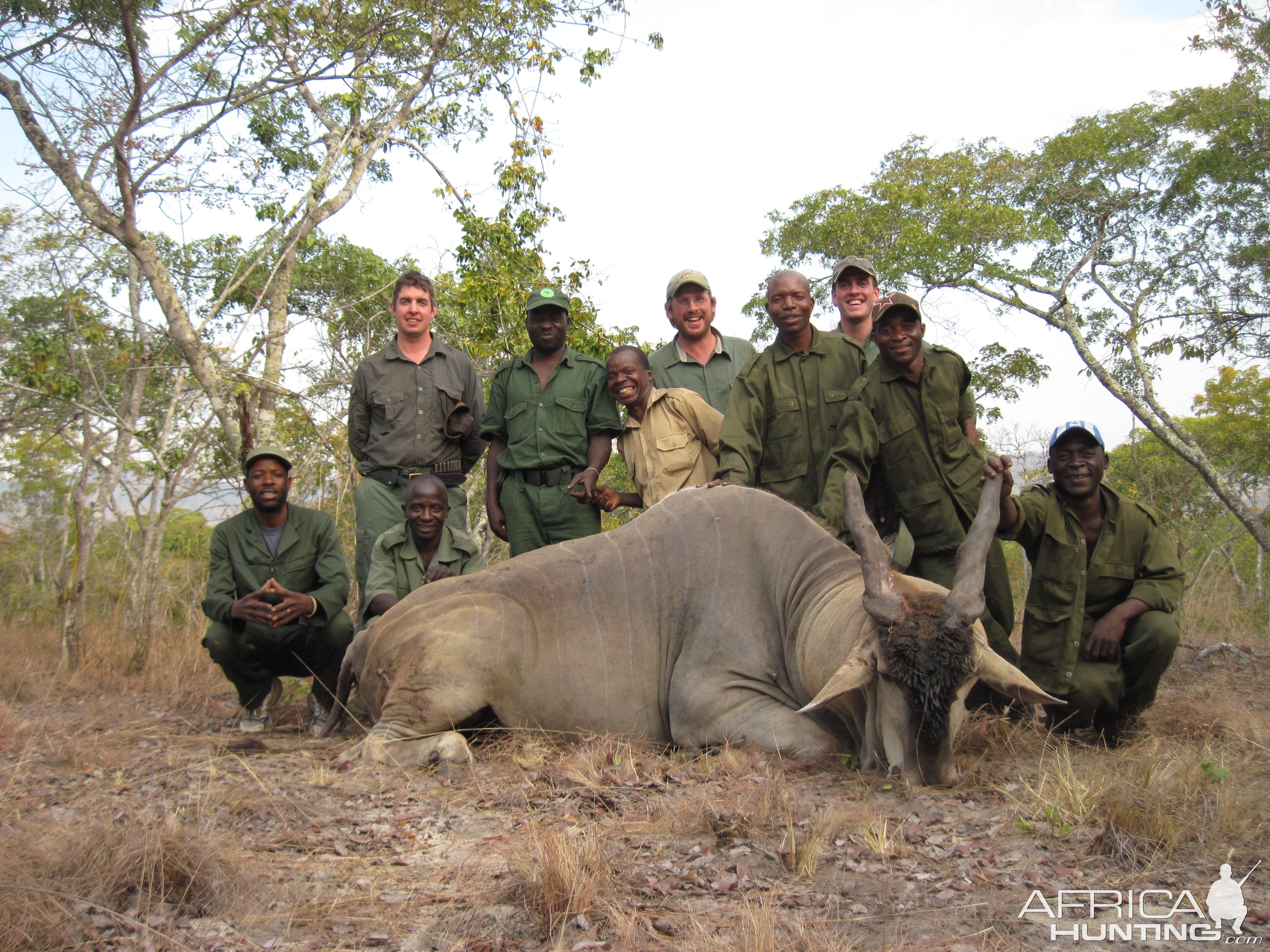 Eland Hunt Lipilichi Mozambique