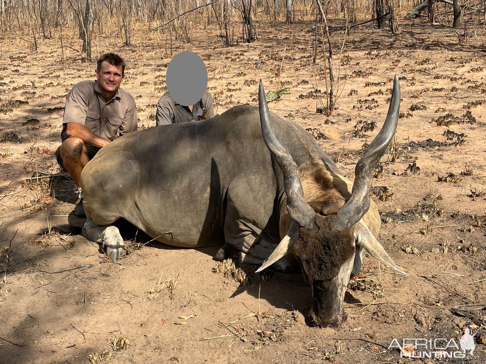 Eland Hunt Mozambique