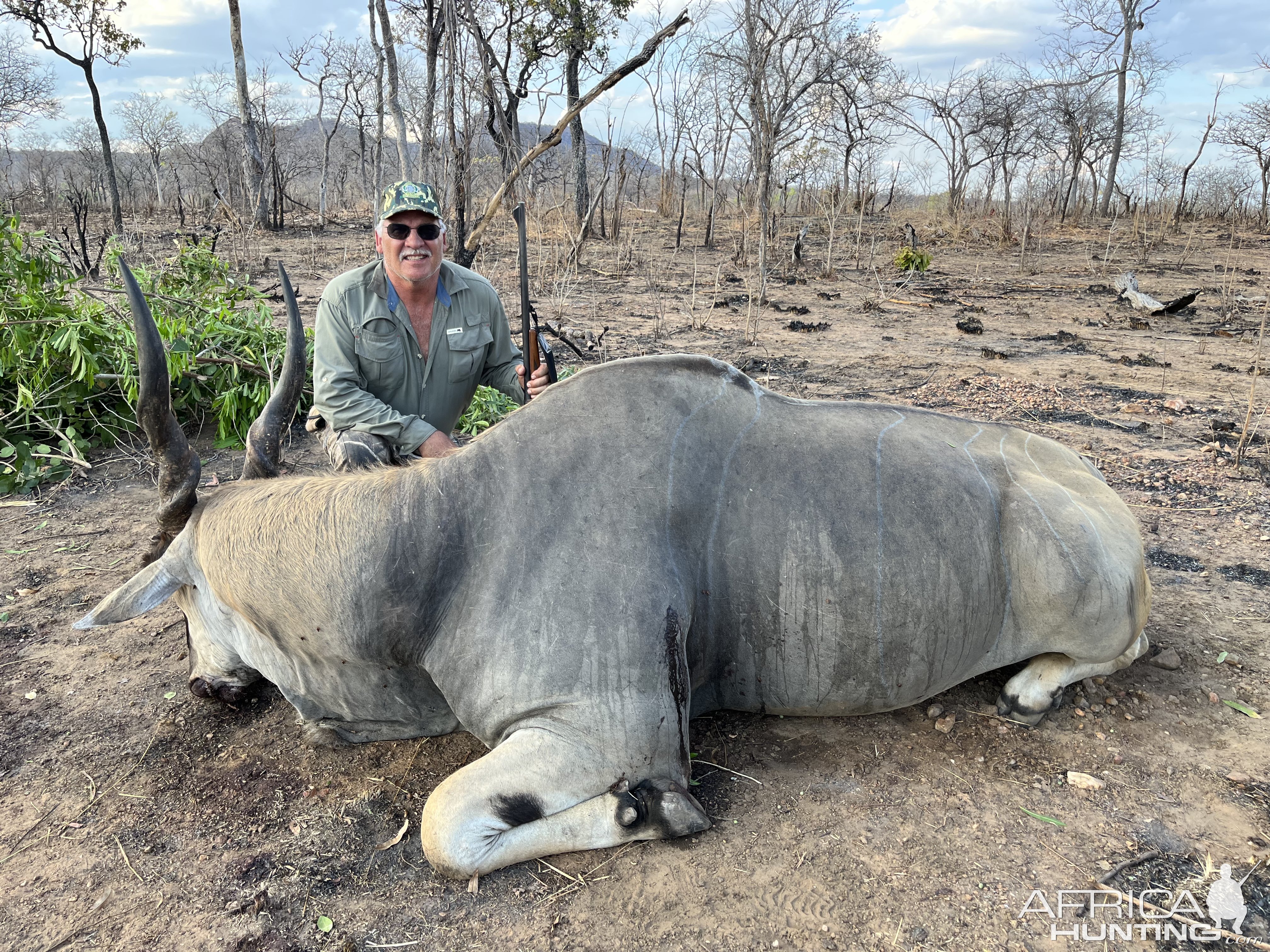 Eland Hunt Mozambique