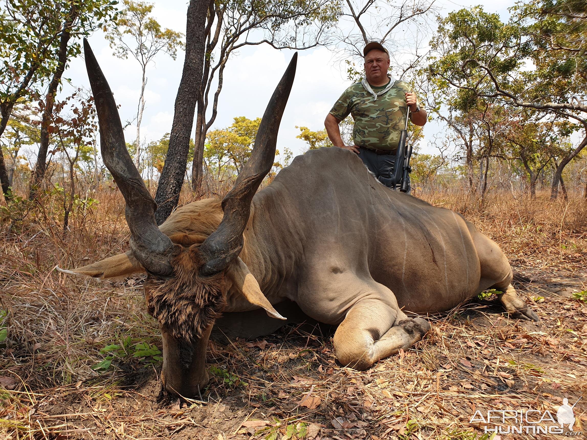 Eland Hunt Mozambique