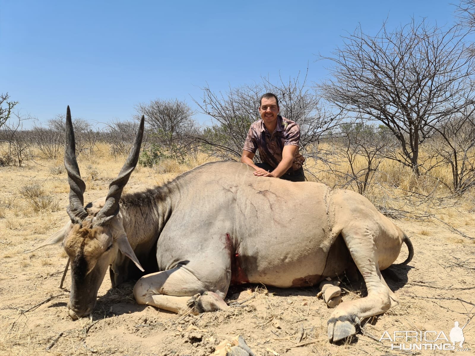 Eland Hunt Namibia