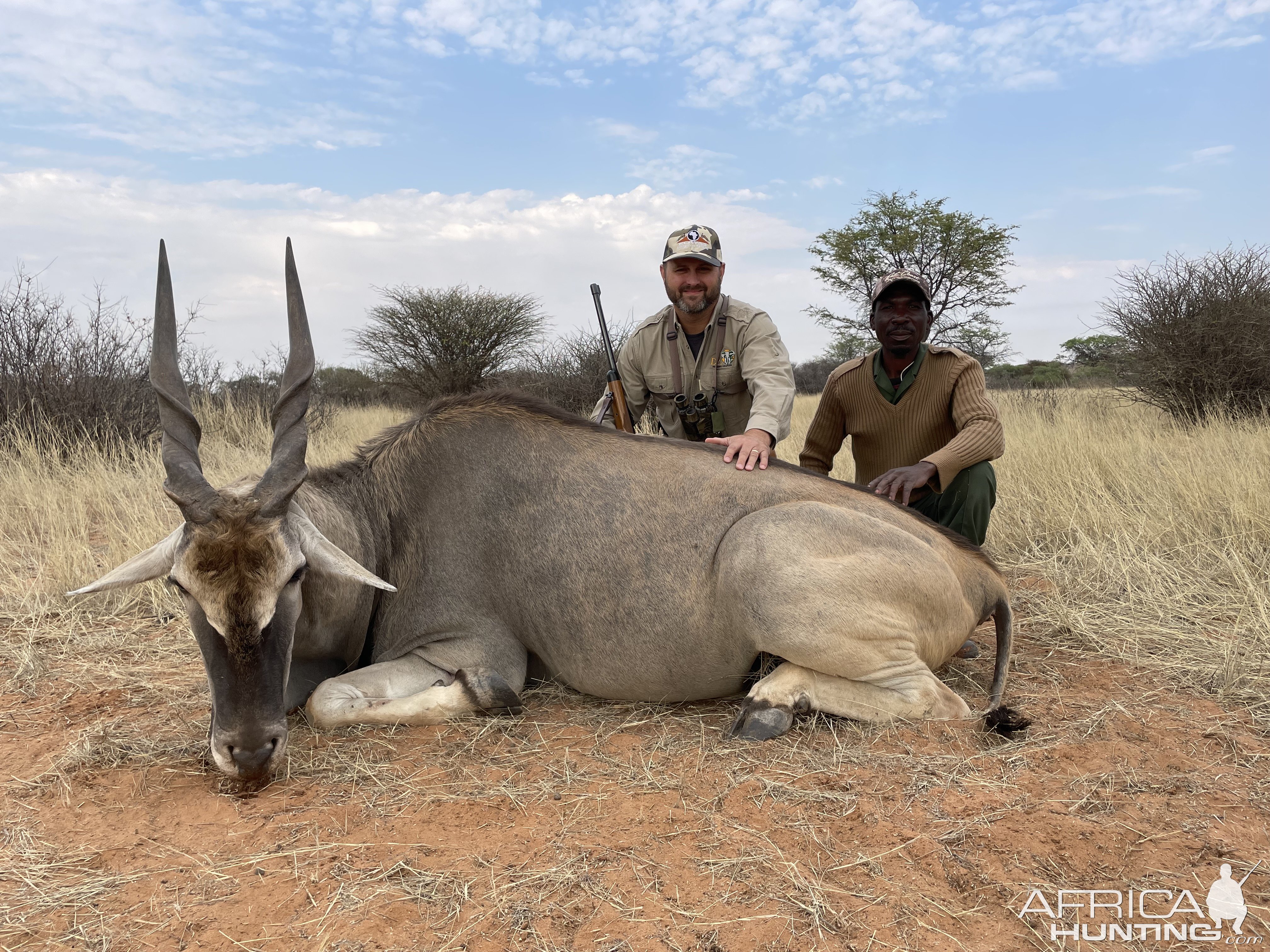 Eland Hunt Namibia