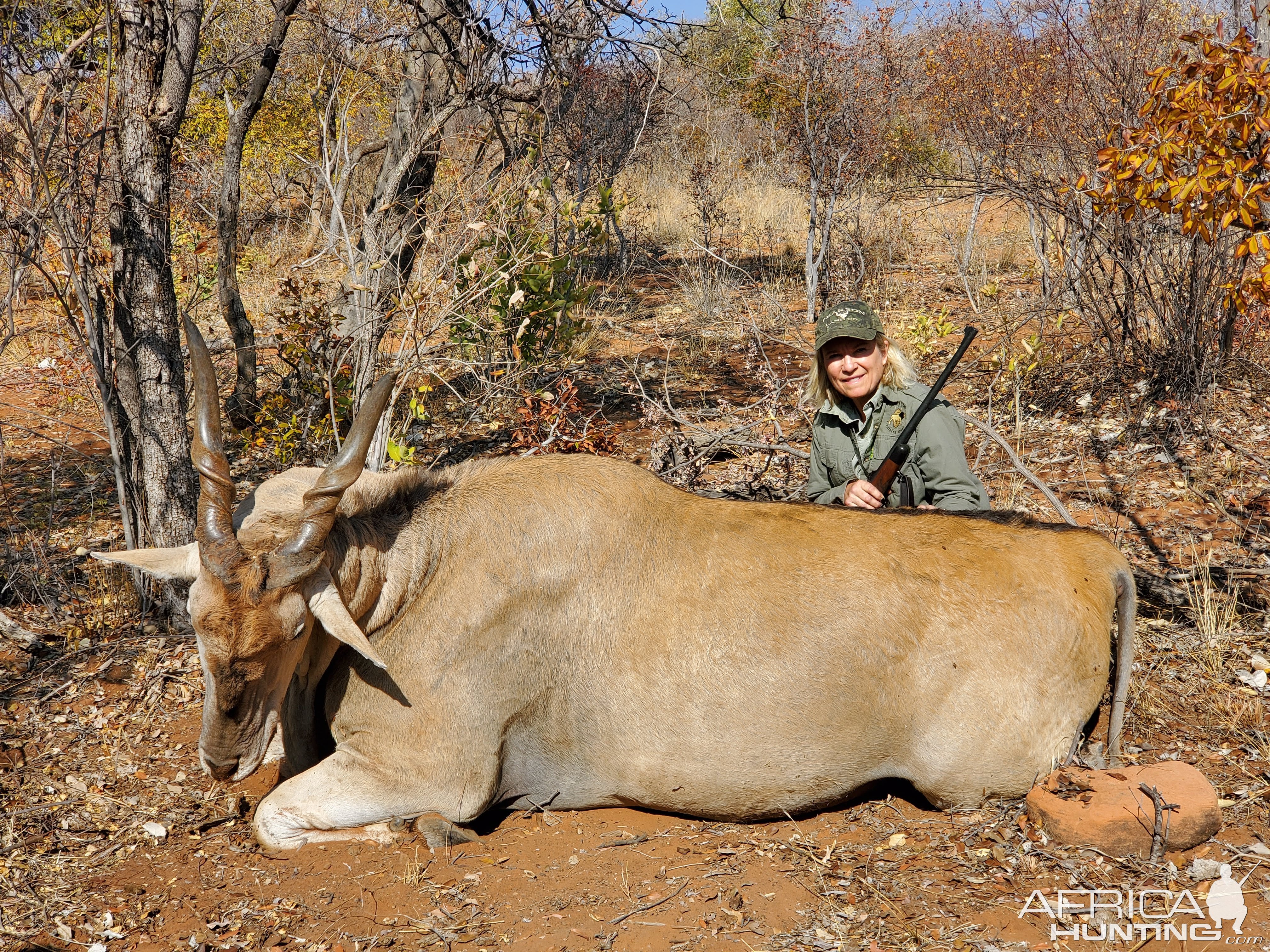 Eland Hunt Namibia