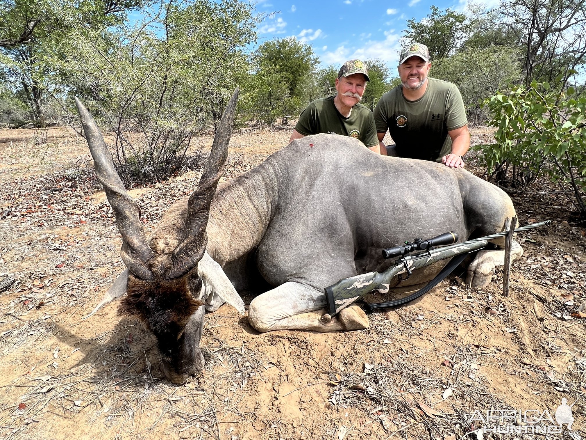 Eland Hunt Namibia