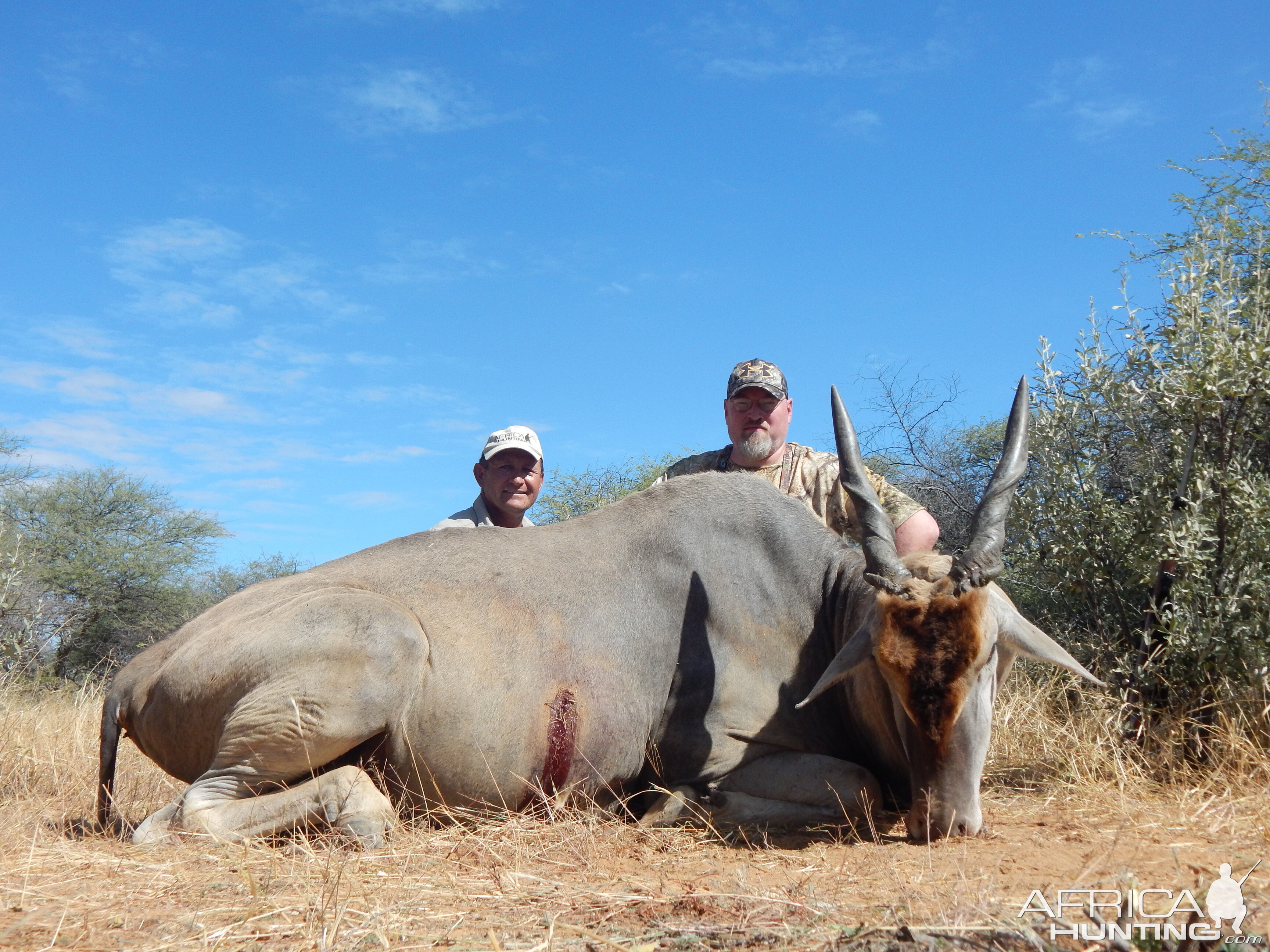 Eland Hunt Namibia