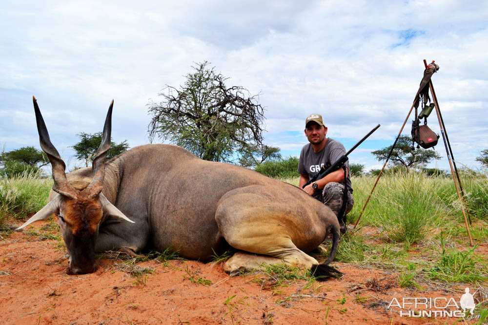 Eland Hunt Namibia