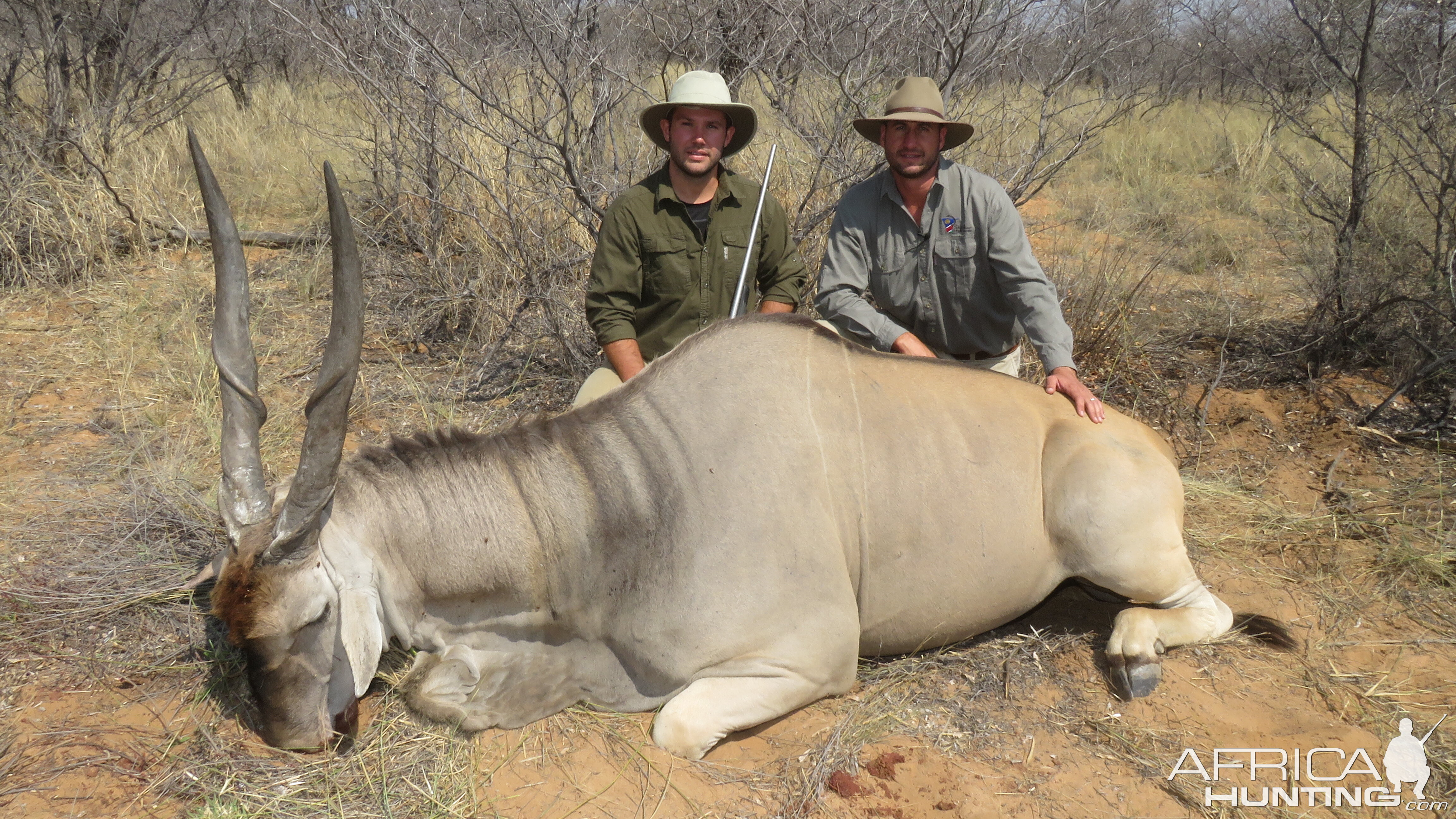 Eland Hunt Namibia