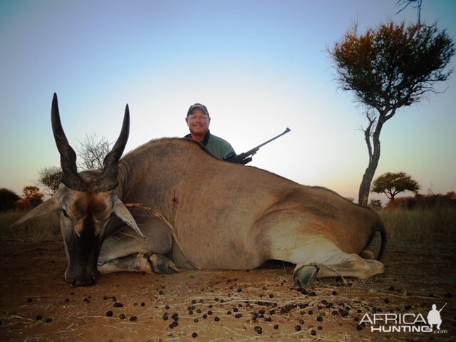 Eland Hunt Namibia