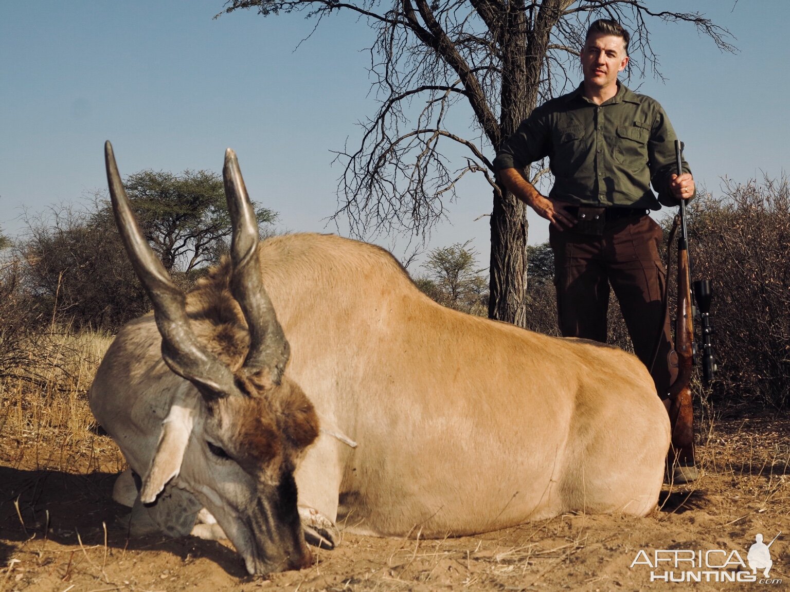 Eland Hunt Namibia