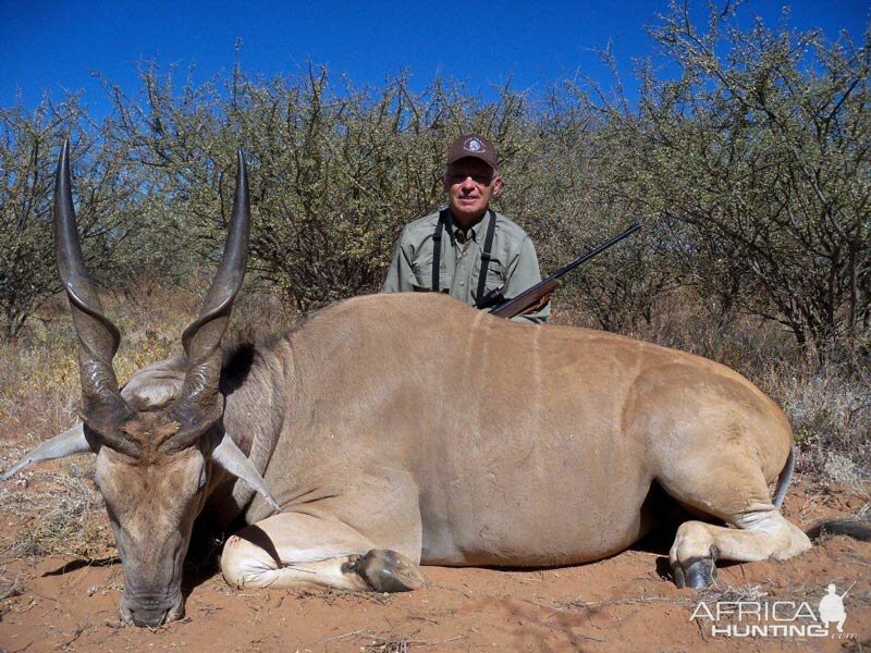 Eland Hunt Namibia