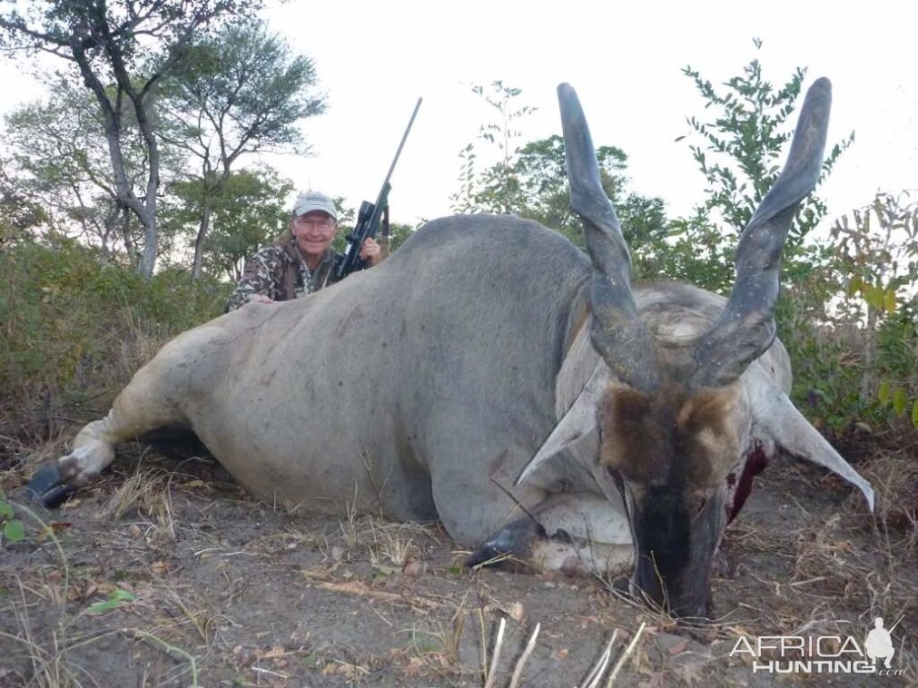 Eland Hunt Namibia