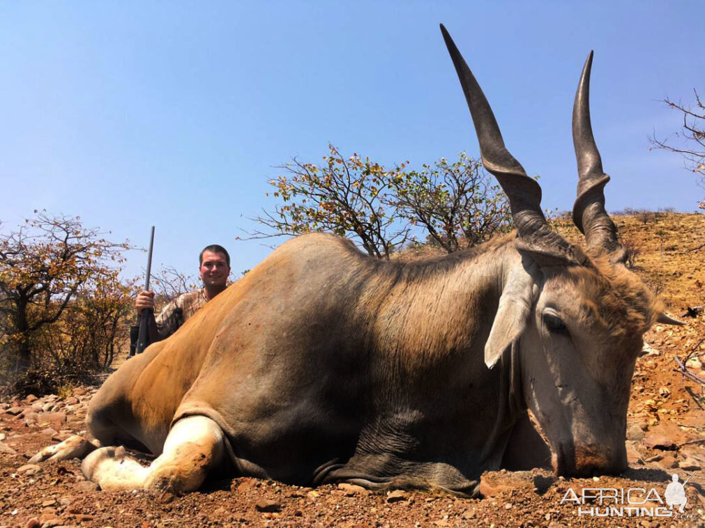 Eland Hunt Namibia