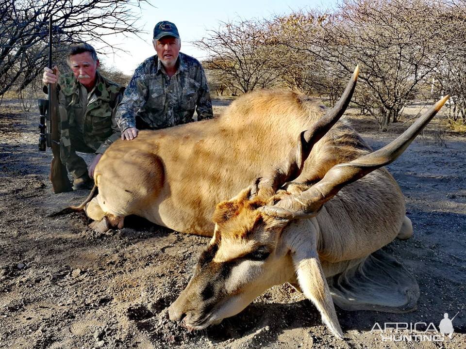 Eland Hunt South Africa