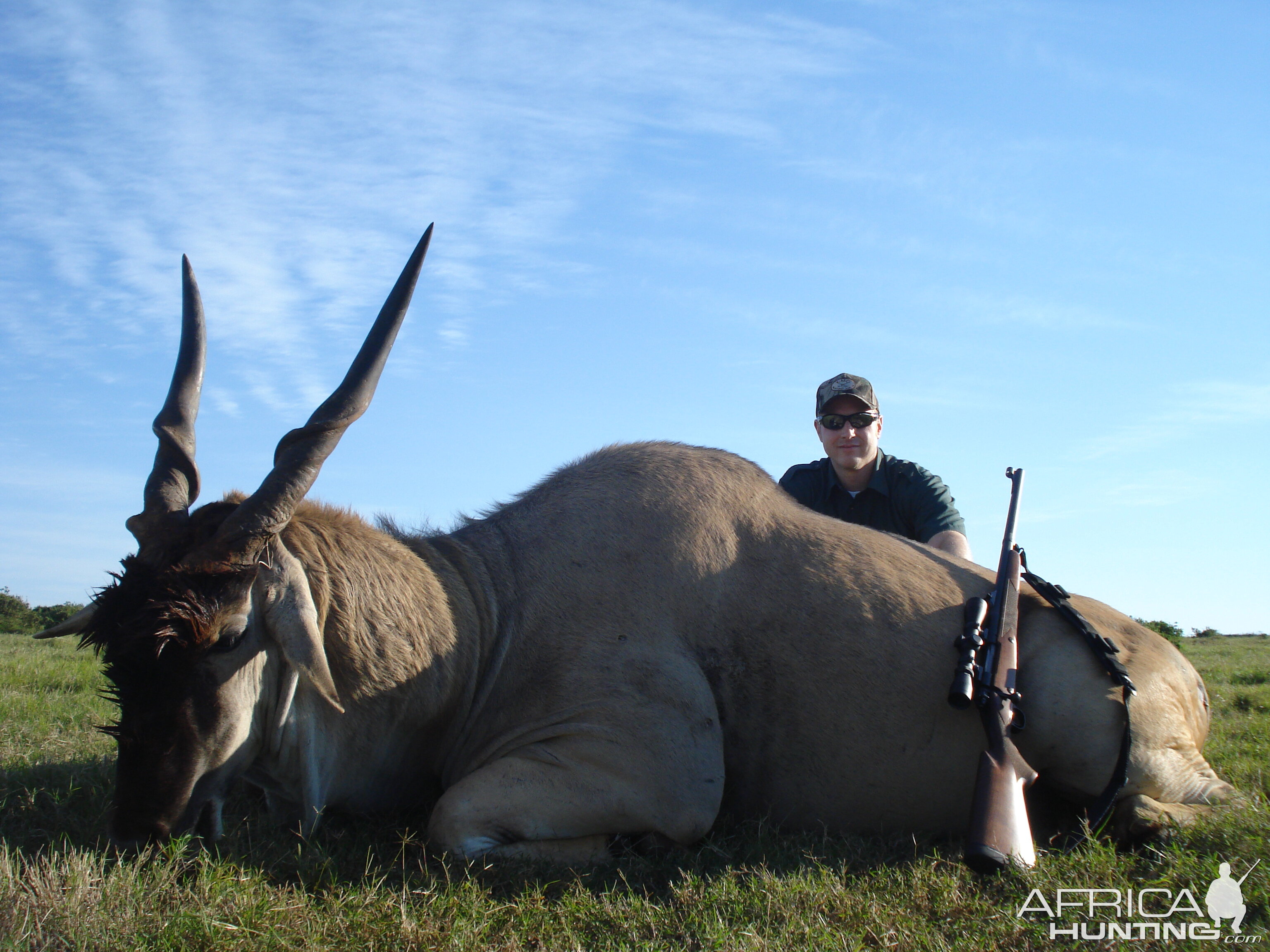 Eland Hunt South Africa