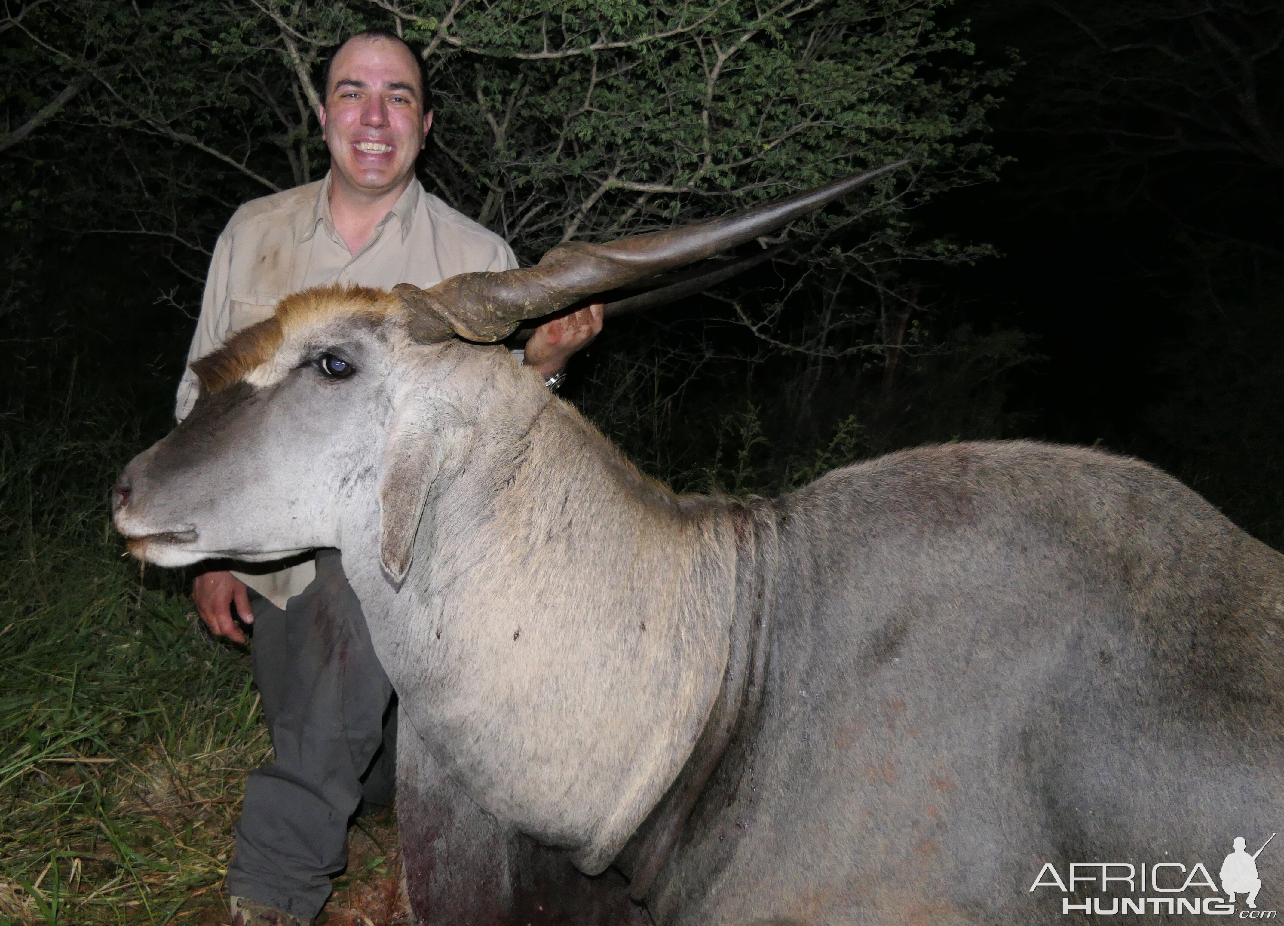 Eland Hunt South Africa