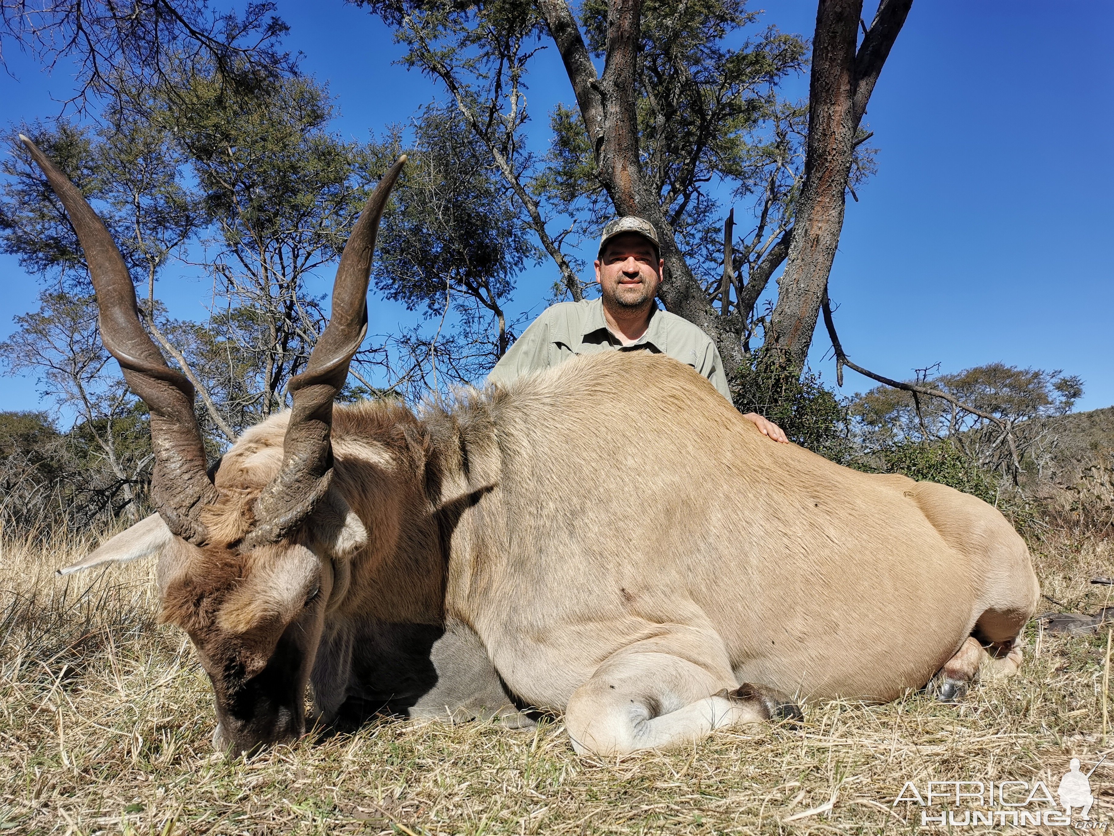 Eland Hunt South Africa