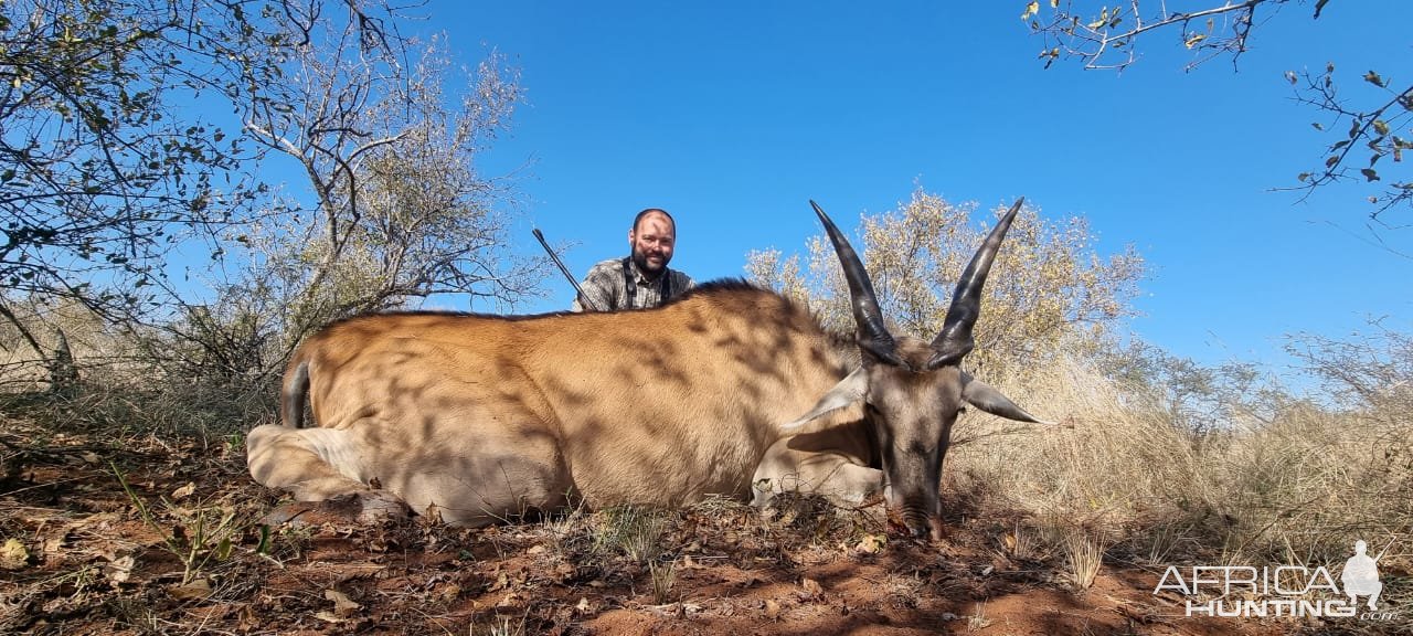 Eland Hunt South Africa