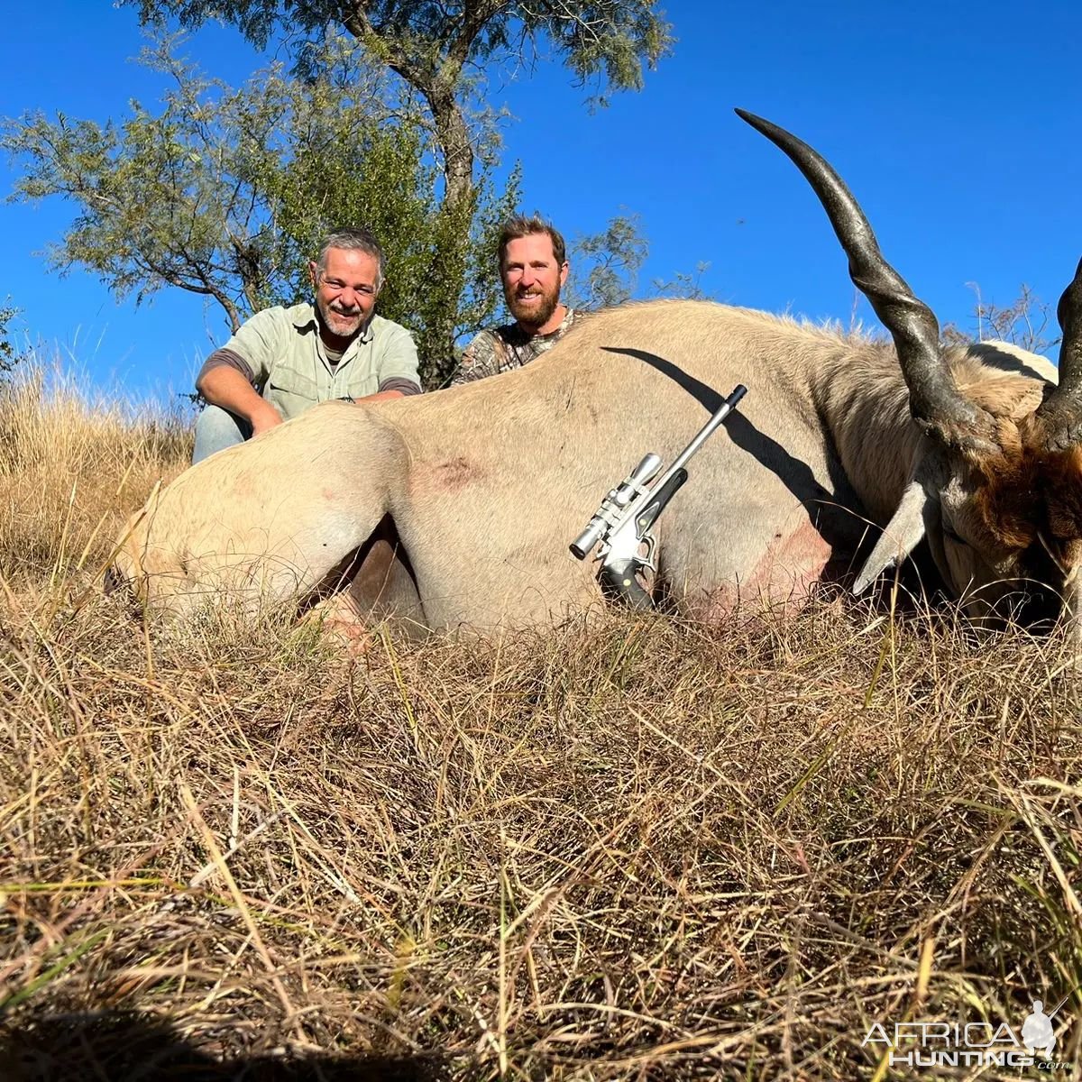 Eland Hunt South Africa