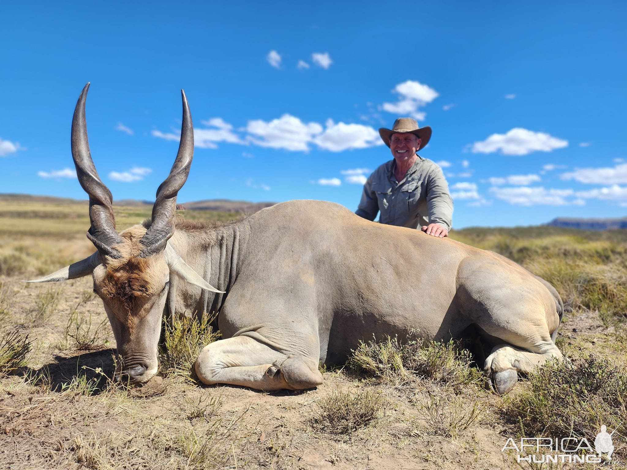 Eland Hunt South Africa