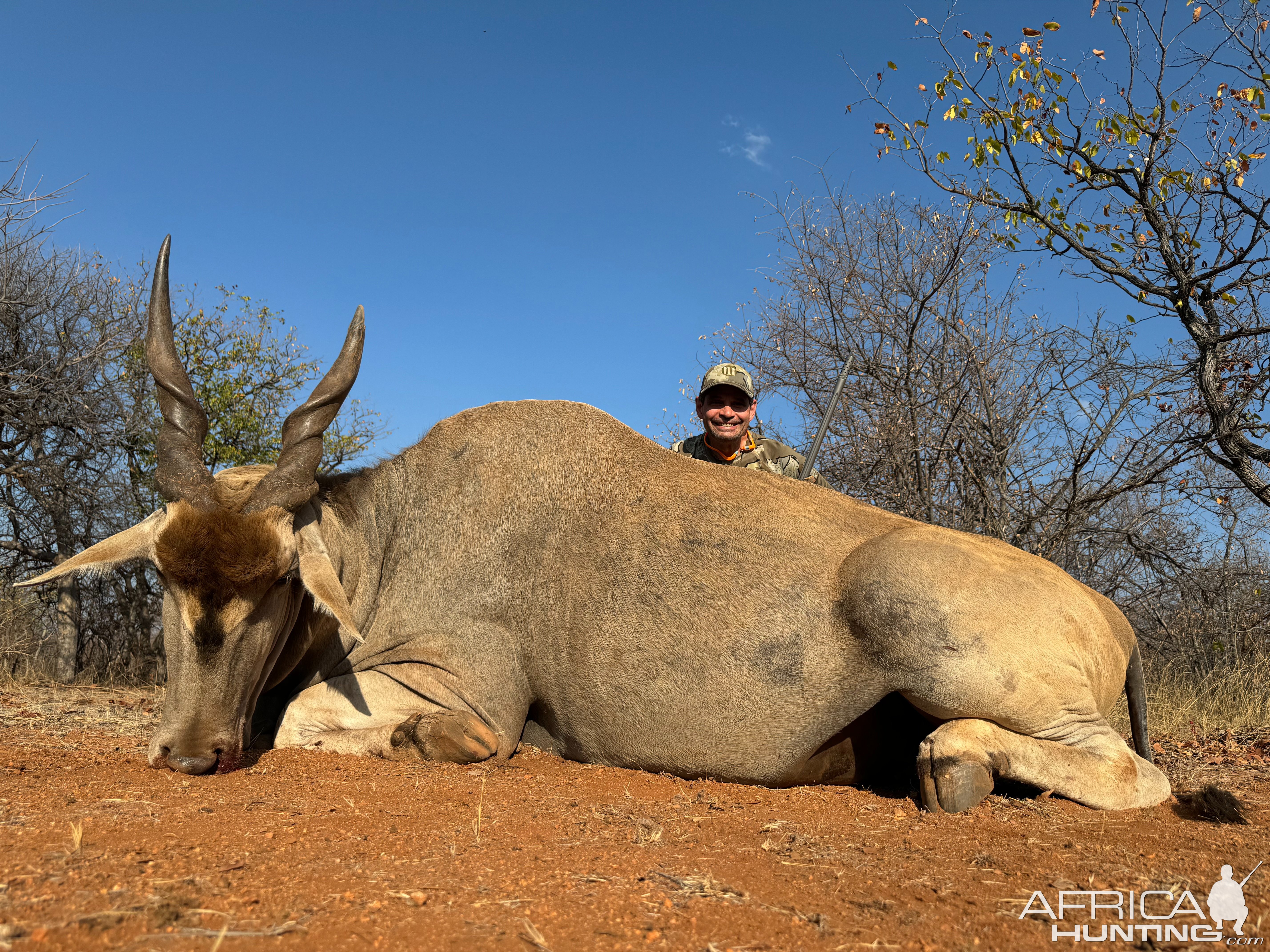 Eland Hunt South Africa