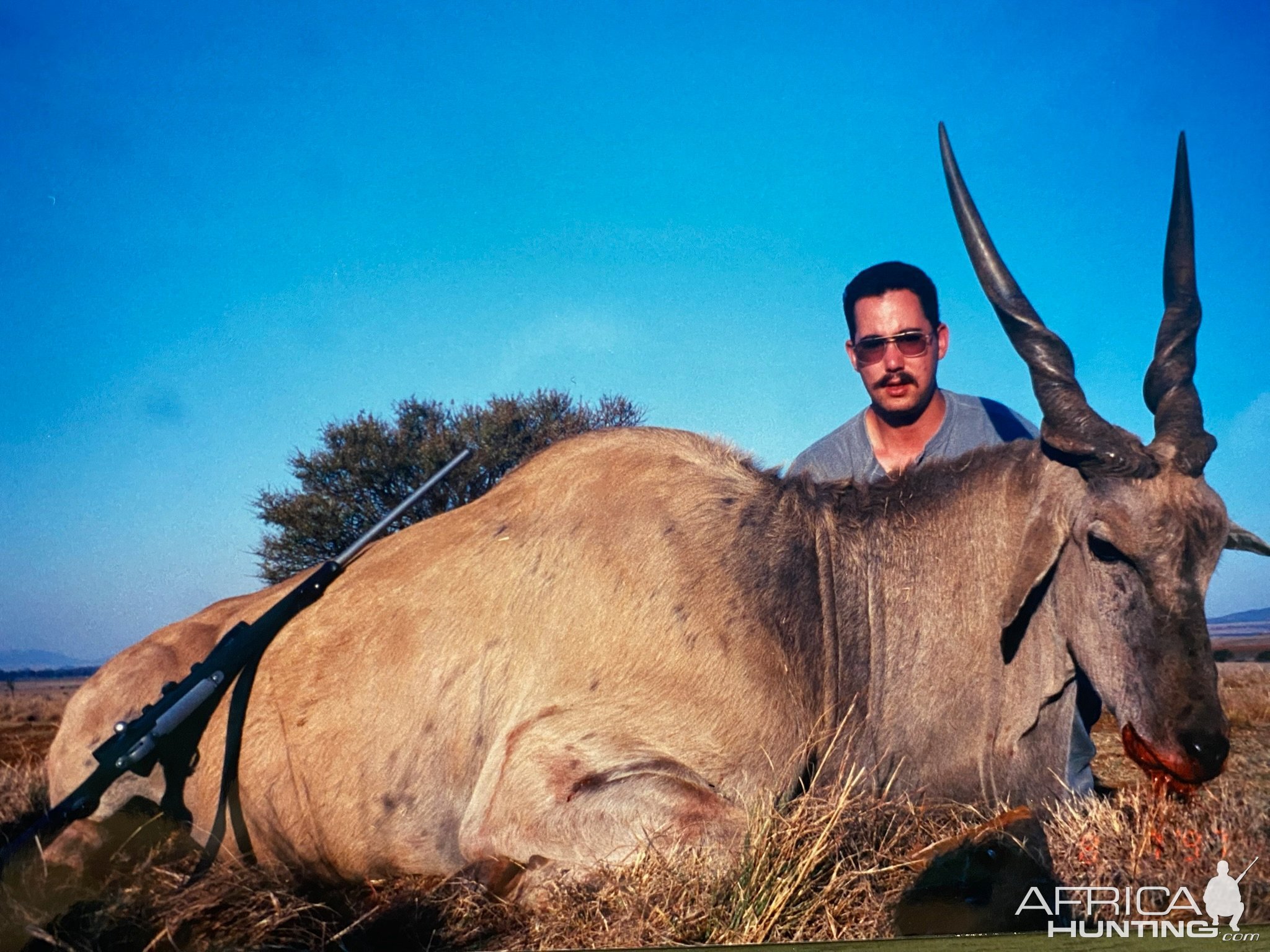 Eland Hunt South Africa