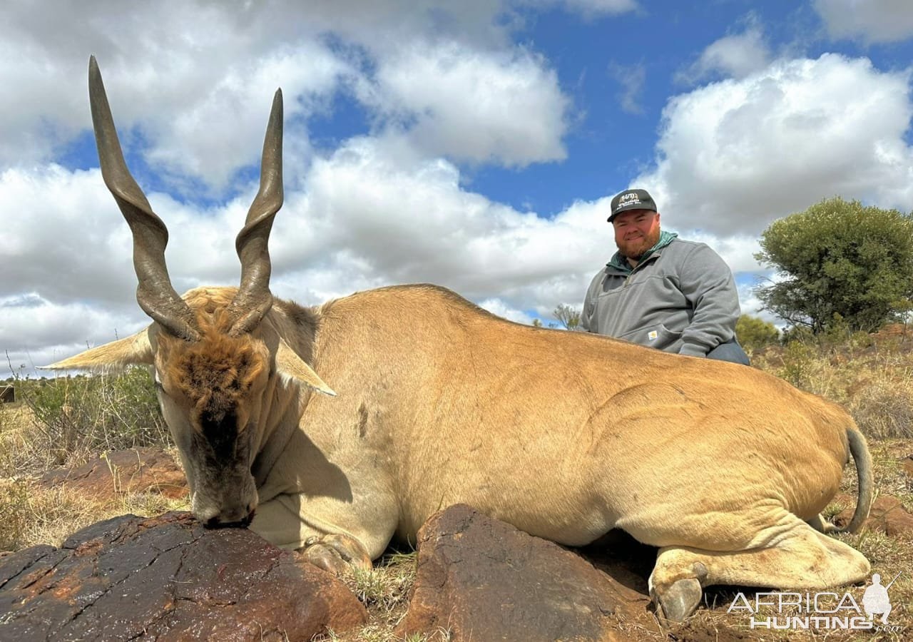 Eland Hunt South Africa