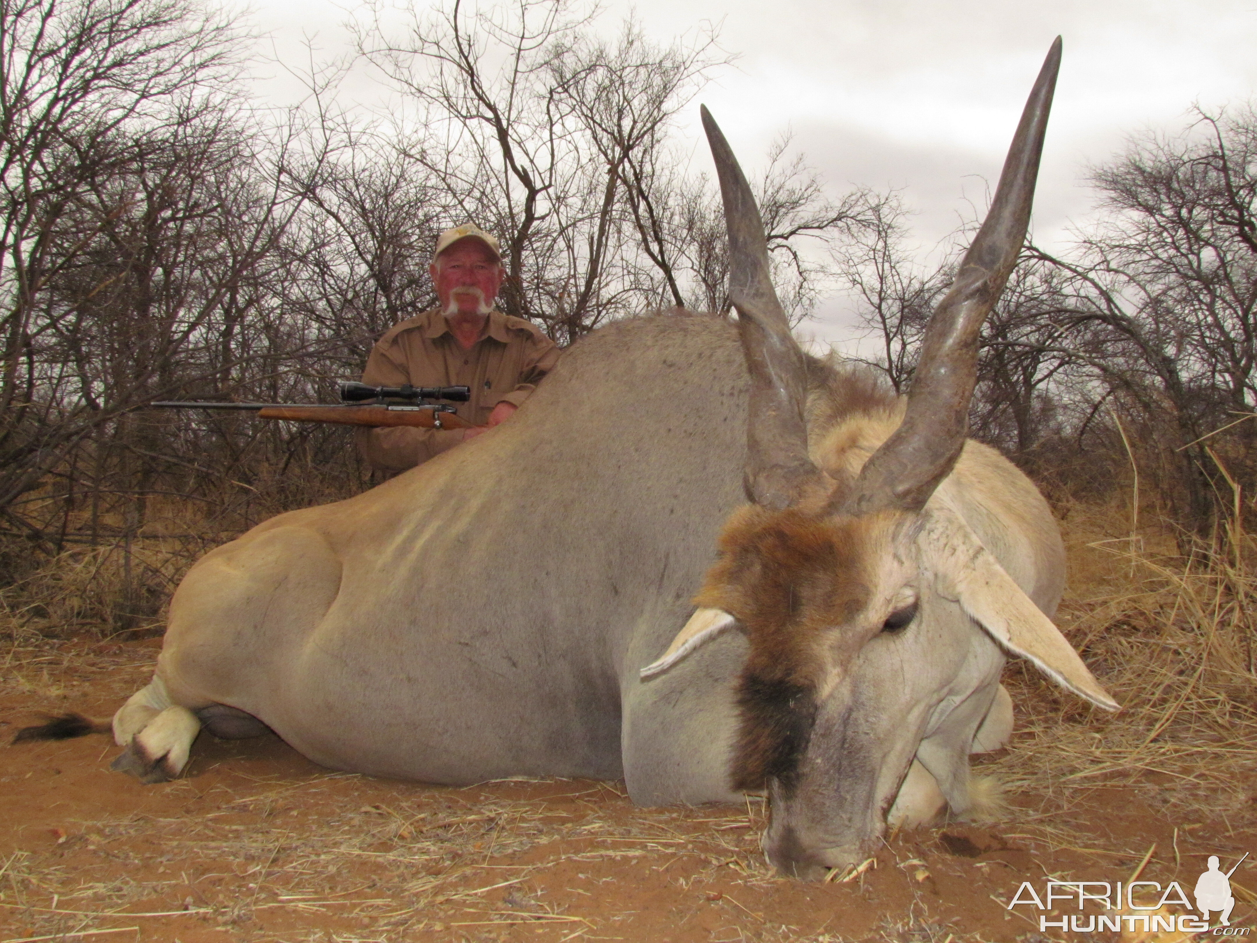 Eland Hunt South Africa