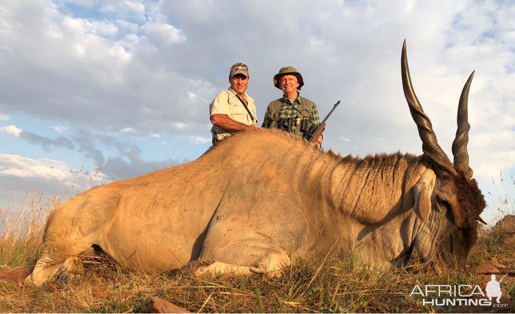 Eland Hunt South Africa