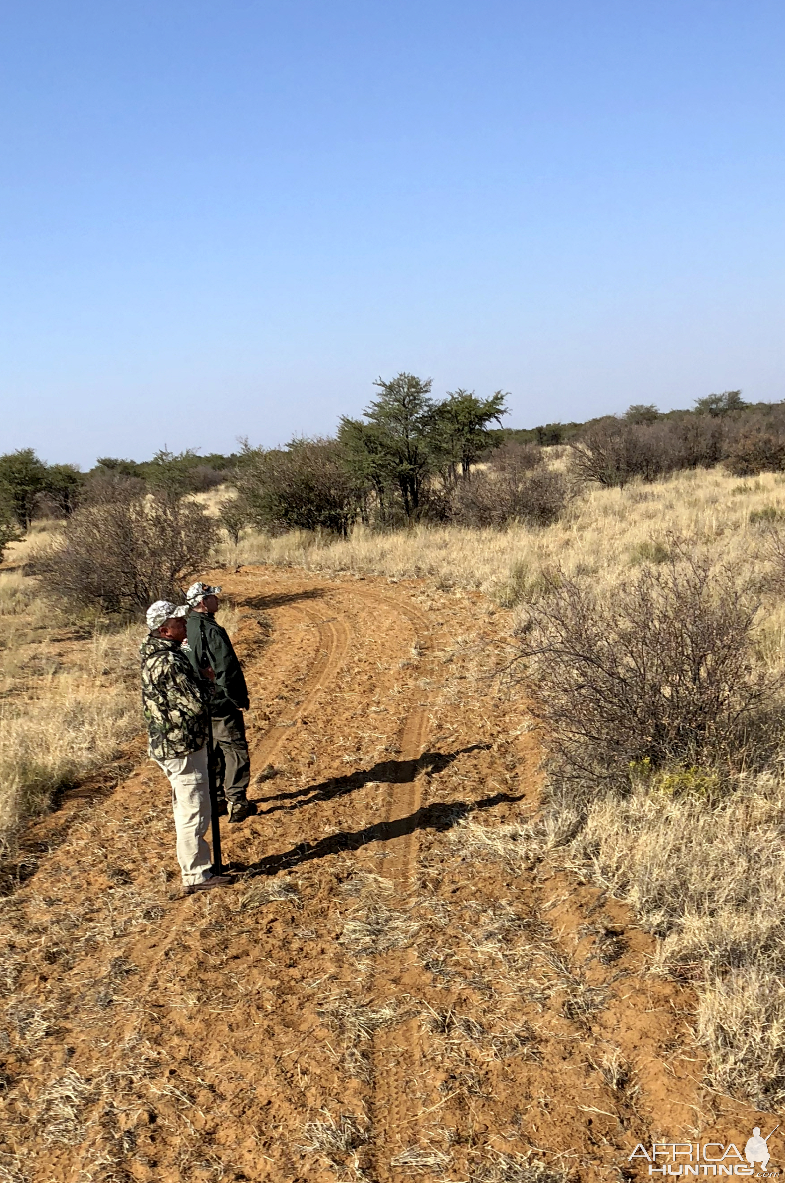 Eland Hunt South Africa