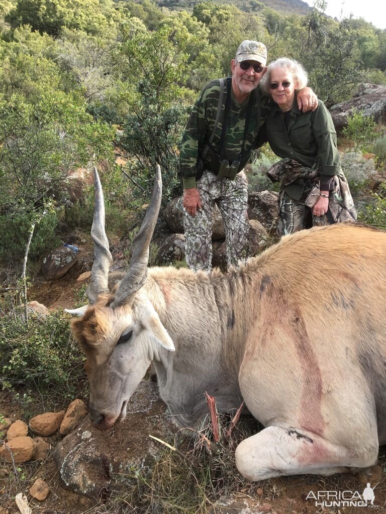 Eland Hunt South Africa