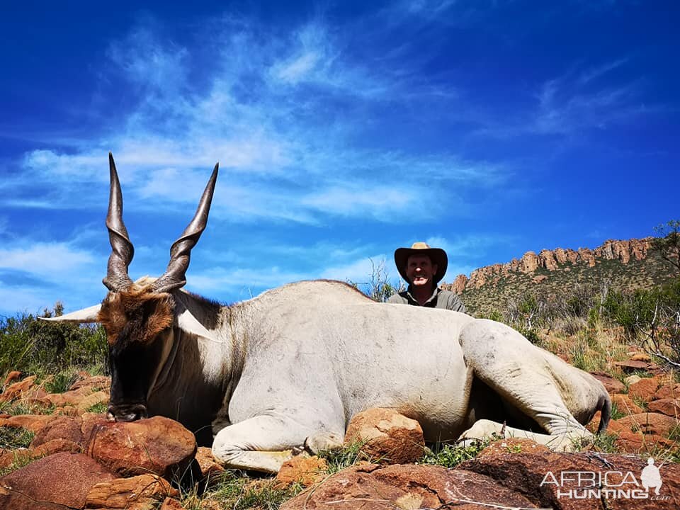 Eland Hunt South Africa