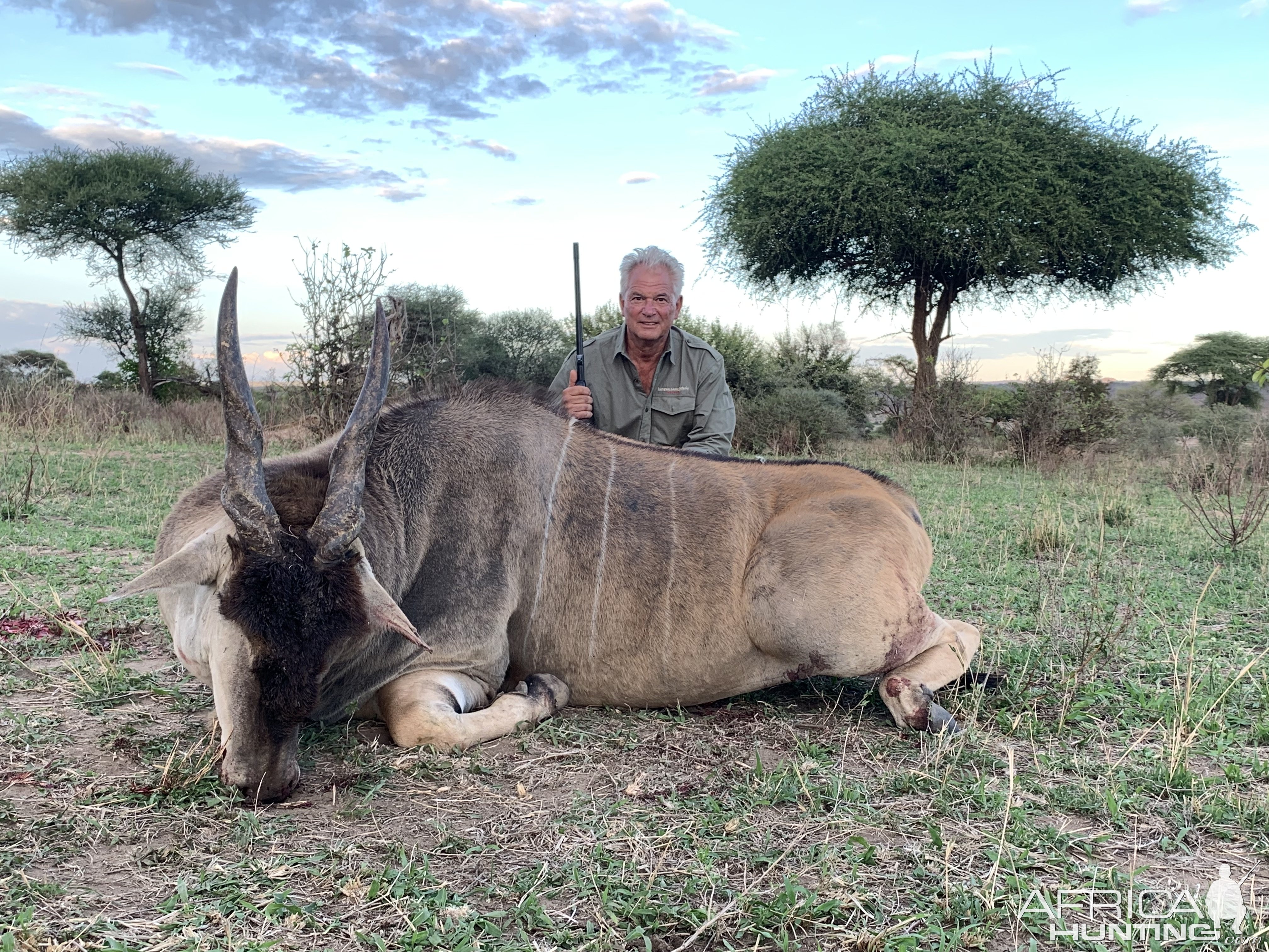 Eland Hunt Tanzania