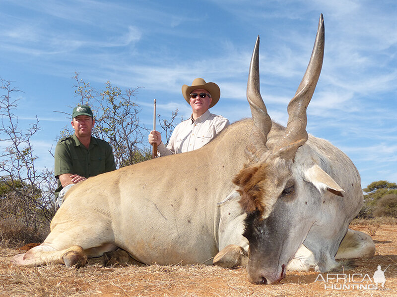 Eland hunt with Wintershoek Johnny Vivier Safaris