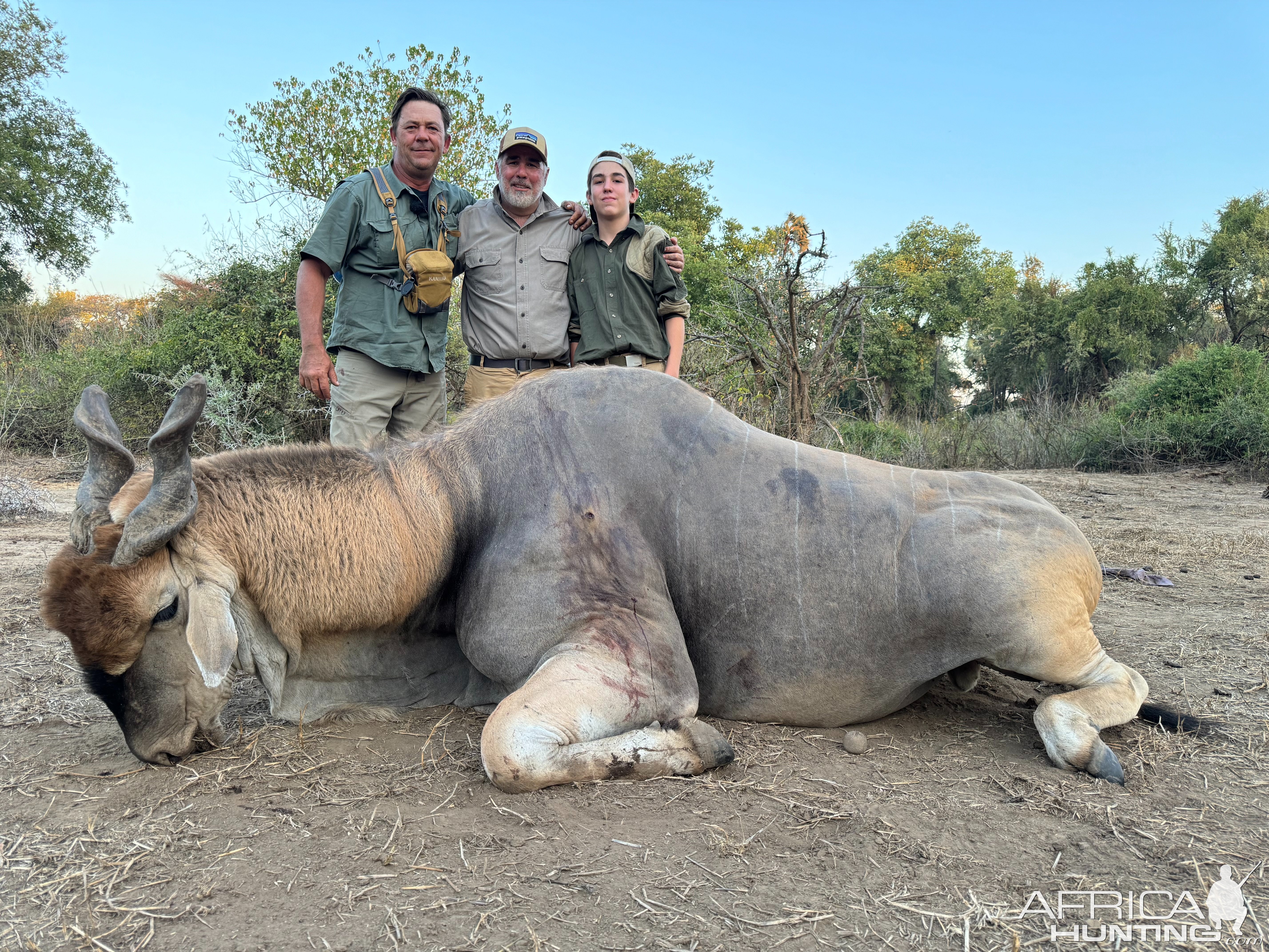 Eland Hunt Zimbabwe